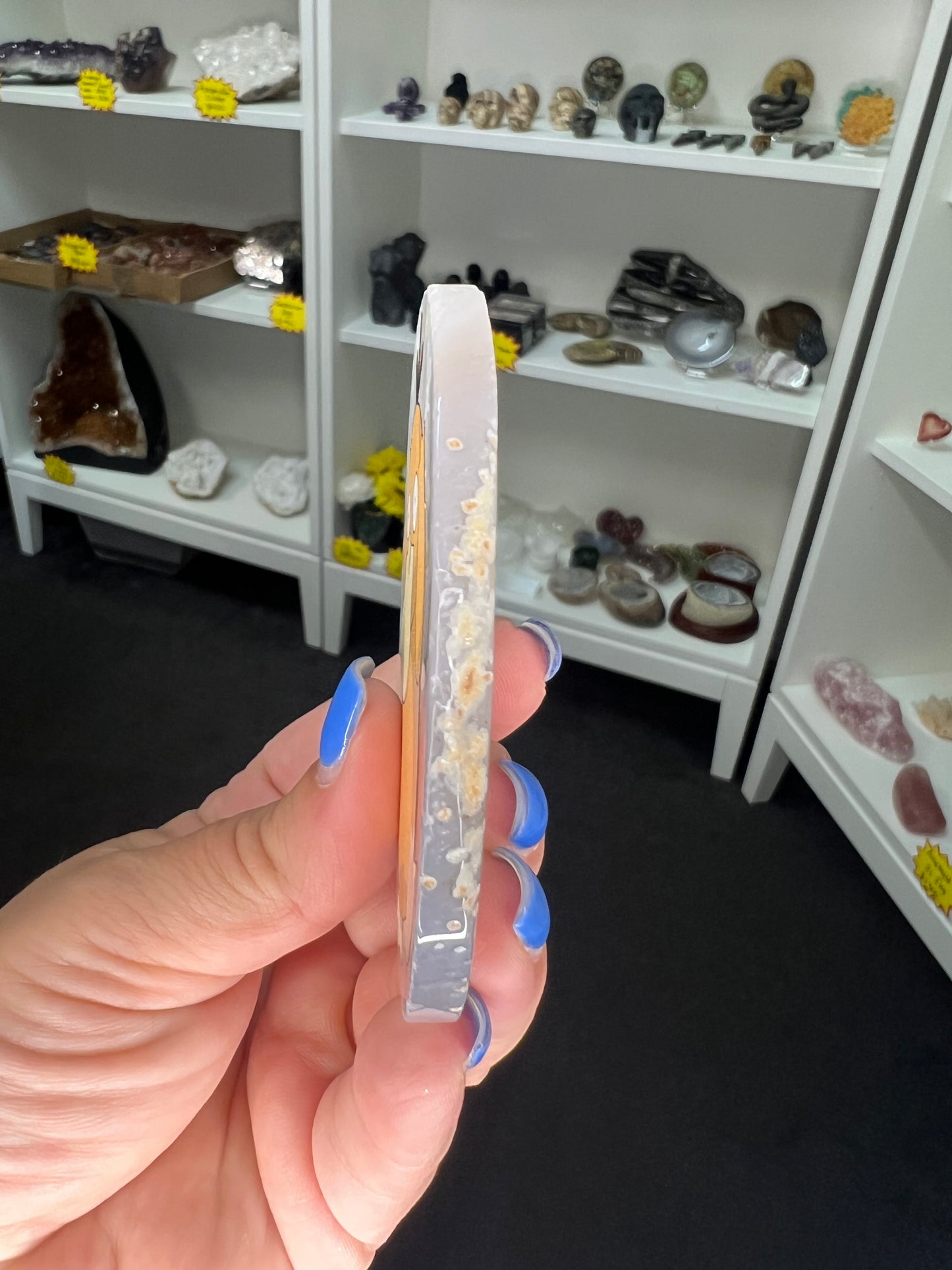 Agate Slice with Pokemon Print
