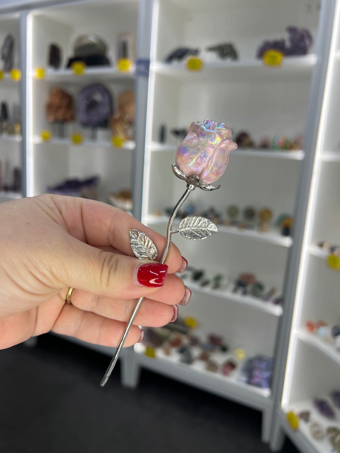 Aura Pink Opal Forever Rose