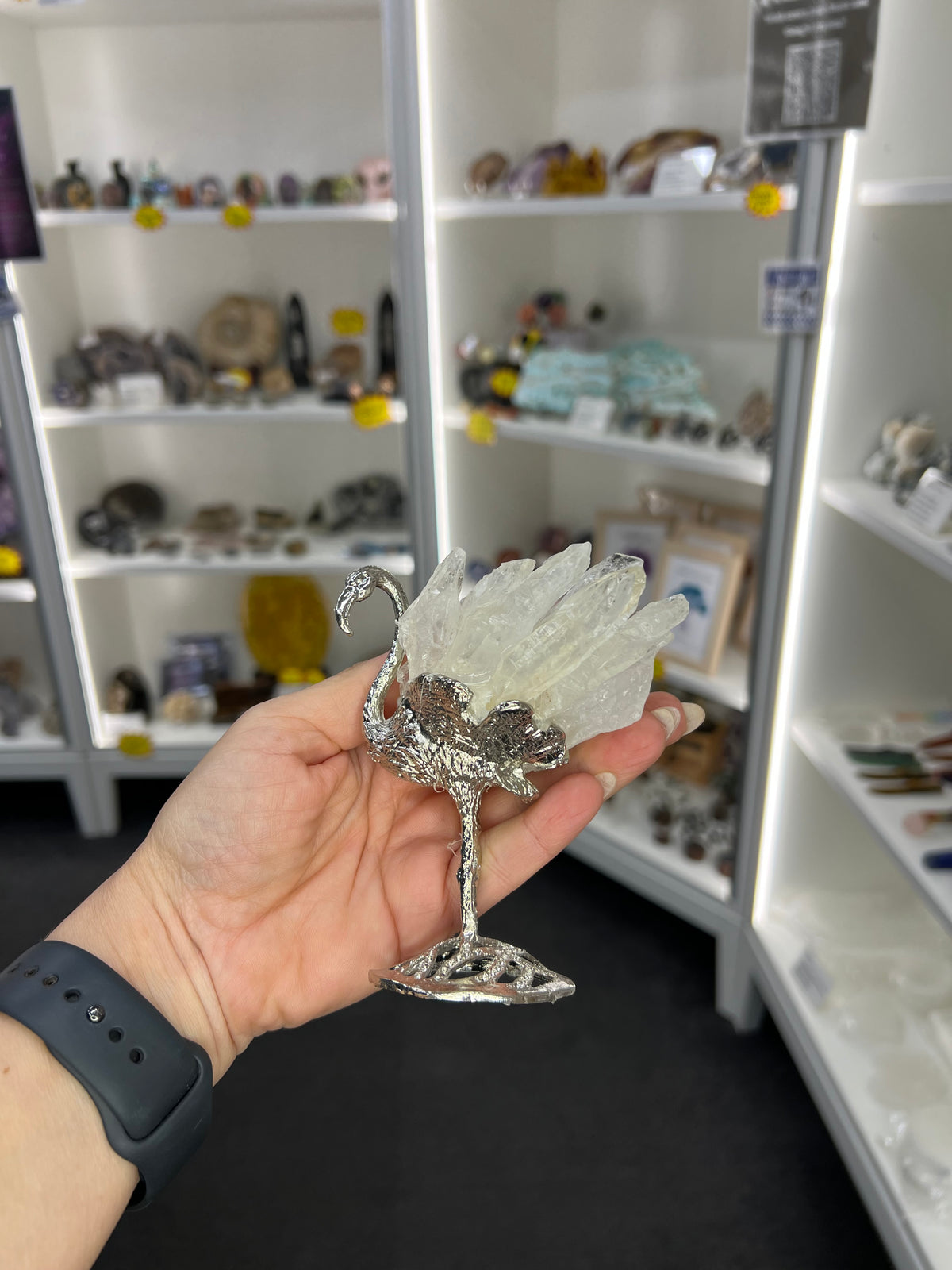 Clear Quartz Cluster on Silver Flamingo