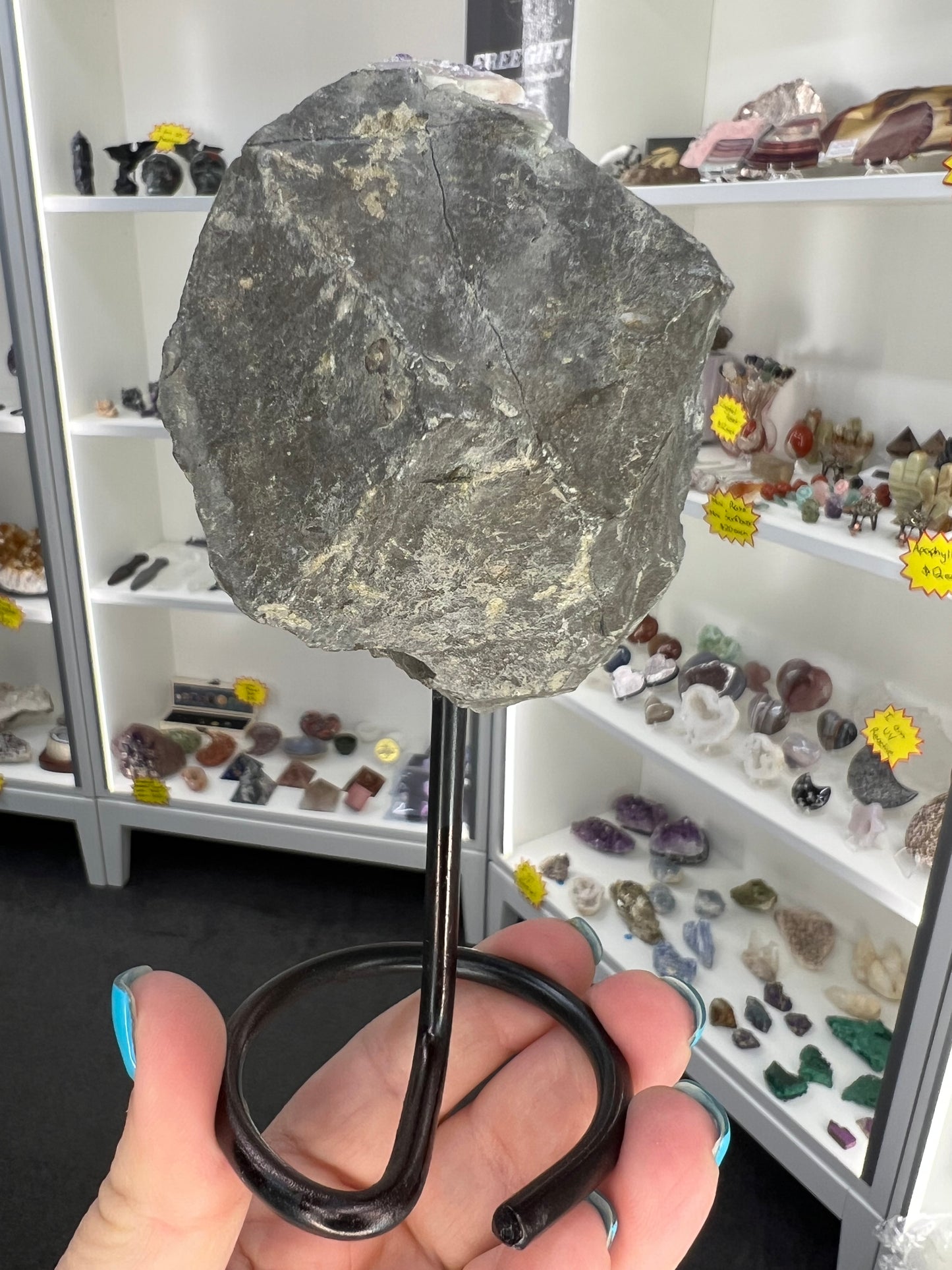 Amethyst Cluster on Stand