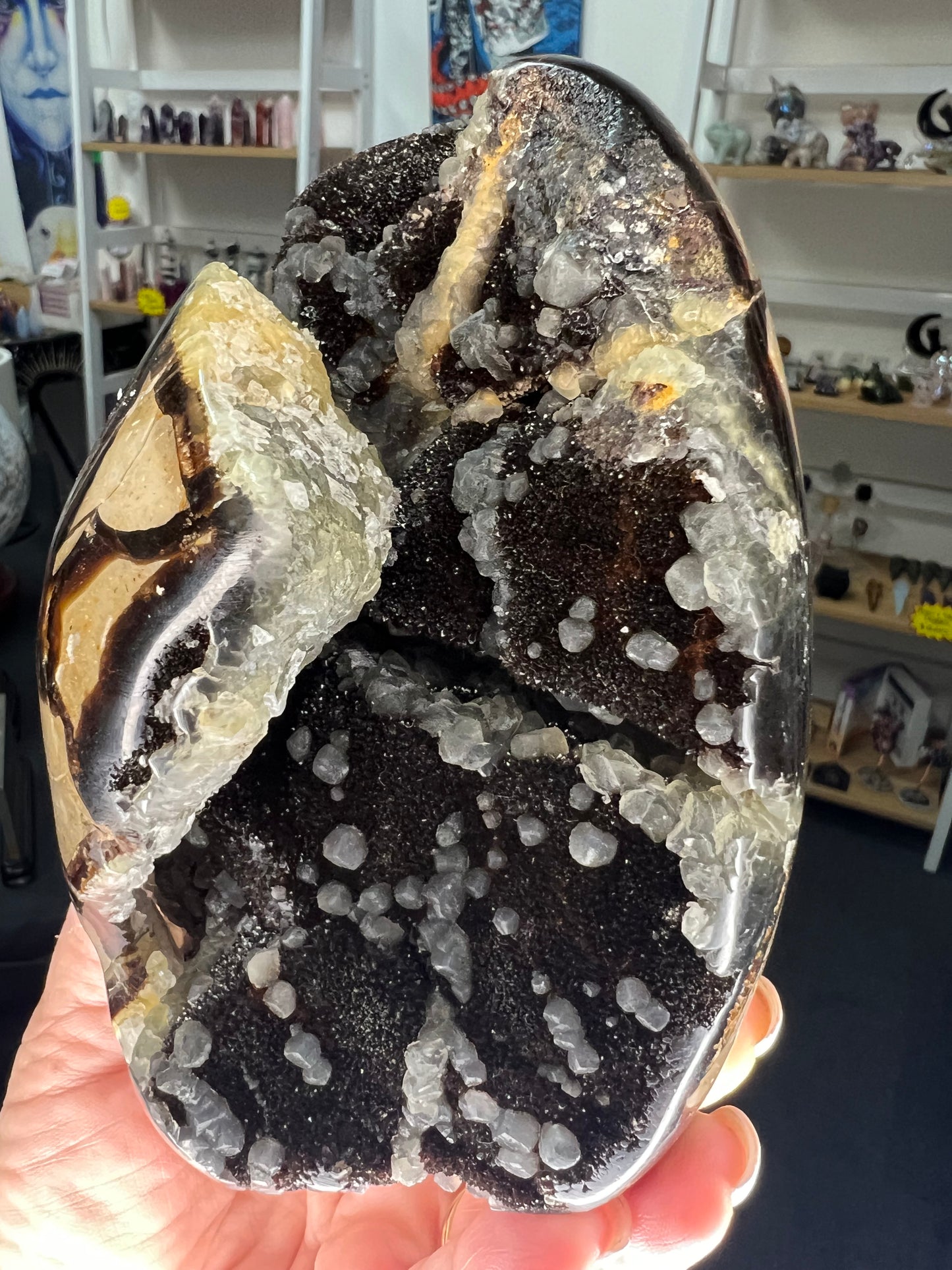 Septarian Freeform