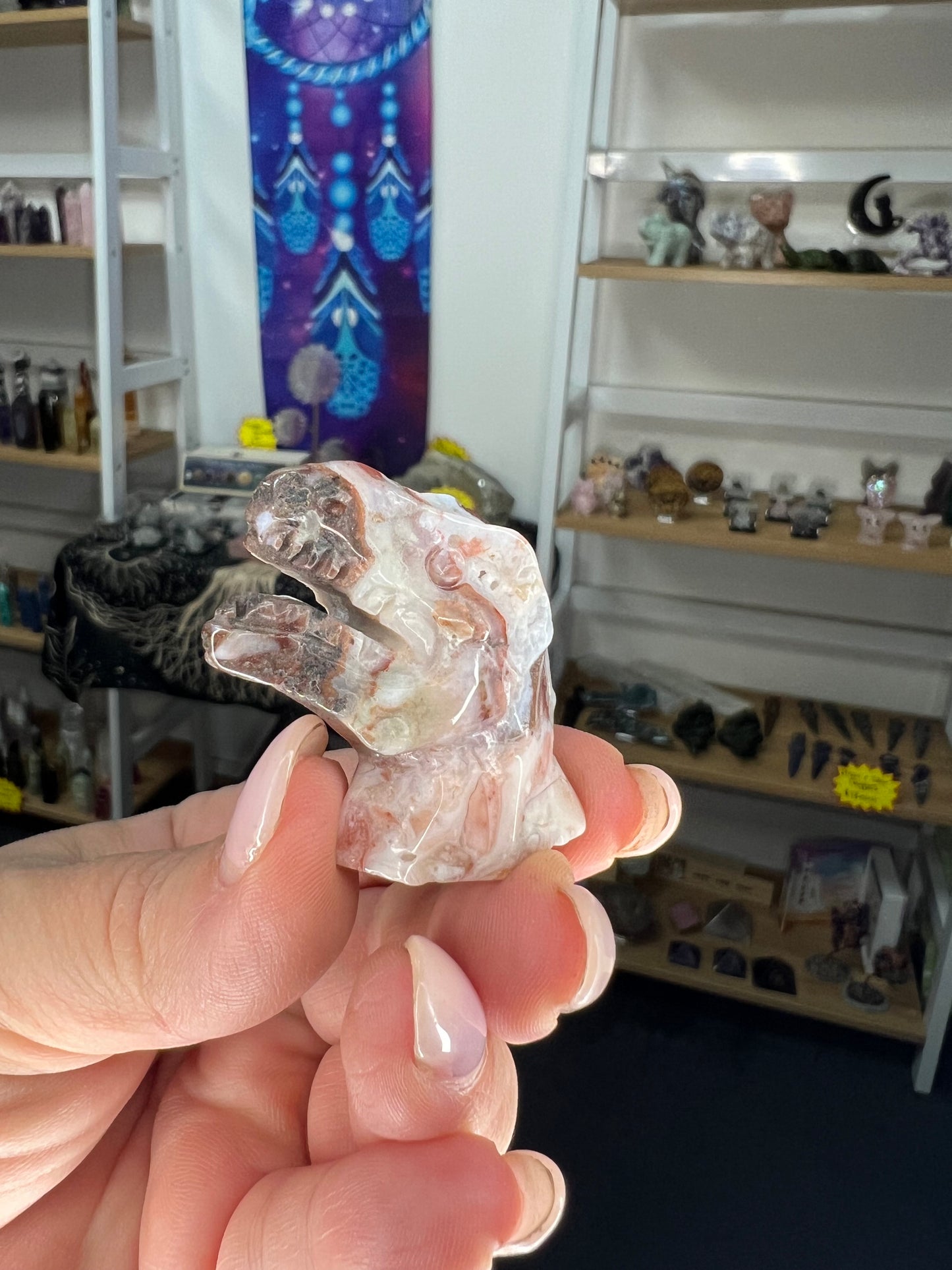 Mexican Lace Agate Dinosaur Head