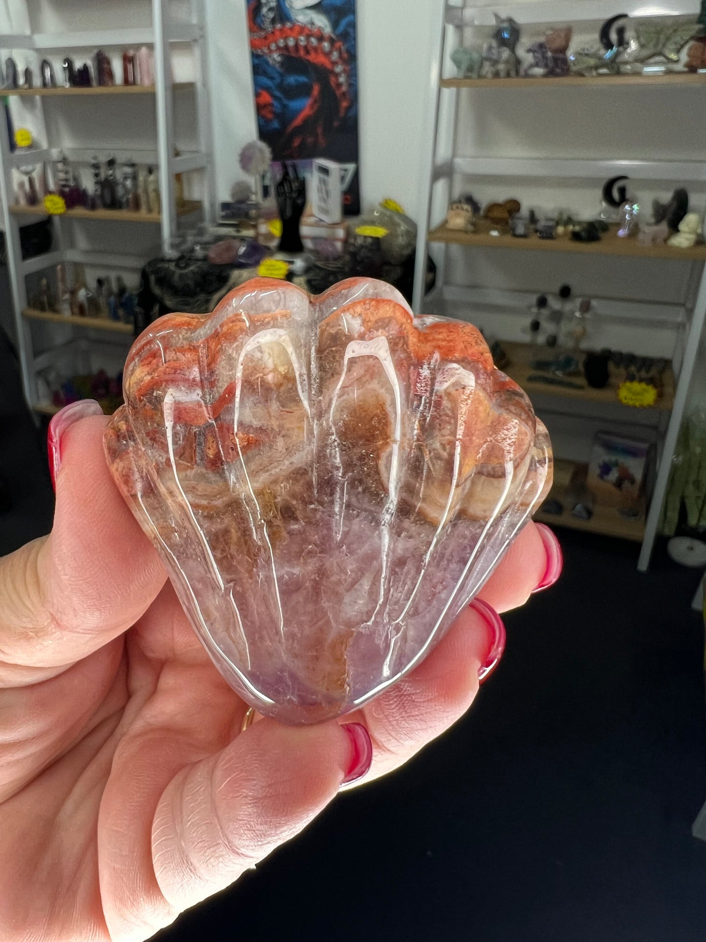 Amethyst x Mexican Lace Agate Shell