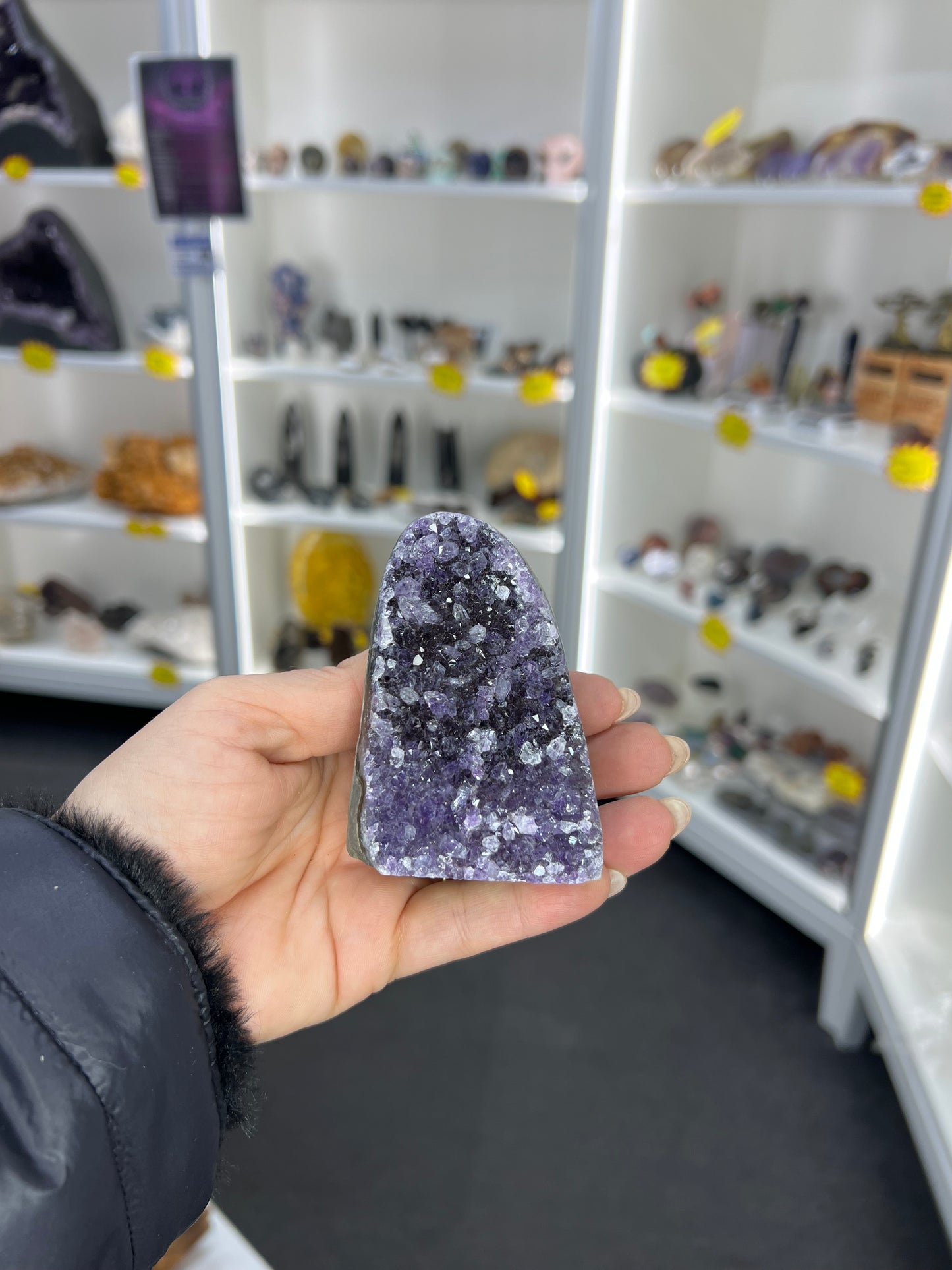 Amethyst Cluster Specimen