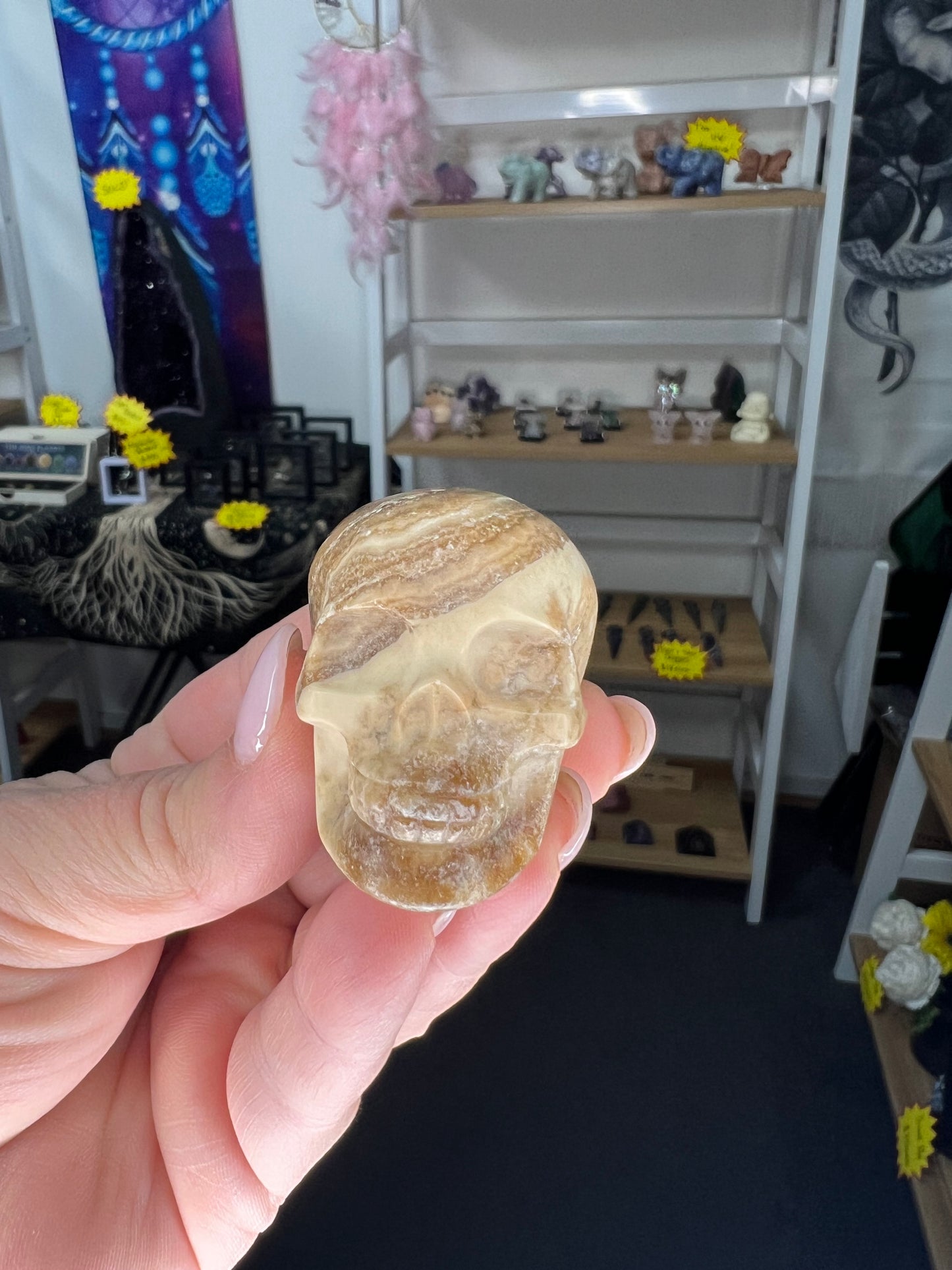 Chocolate Calcite Skull