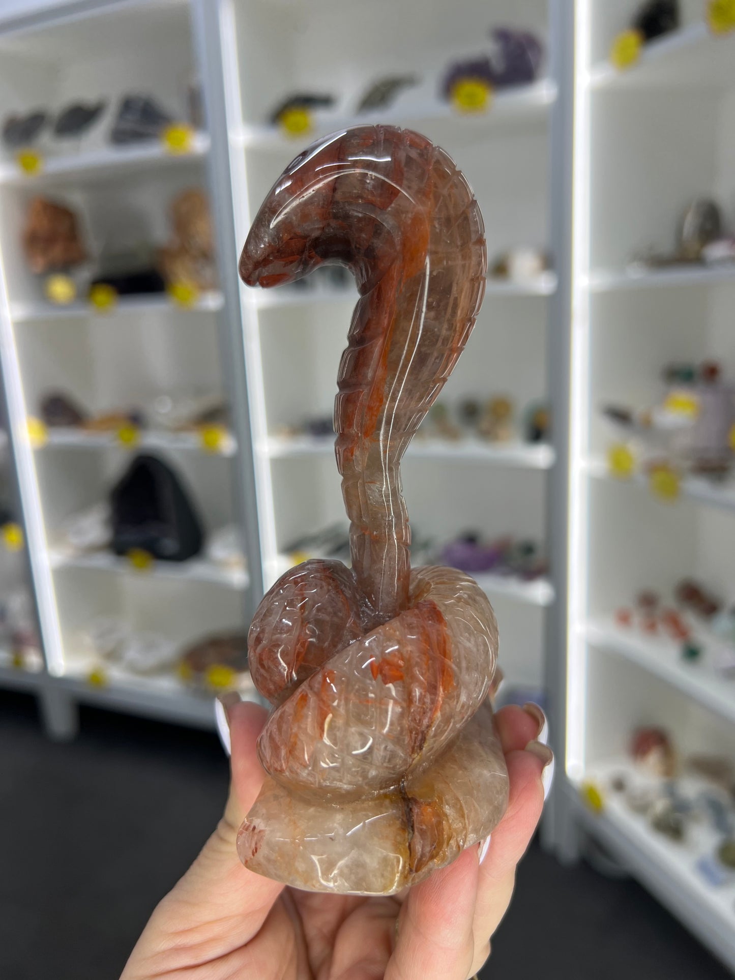 Fire Quartz Cobra / Snake