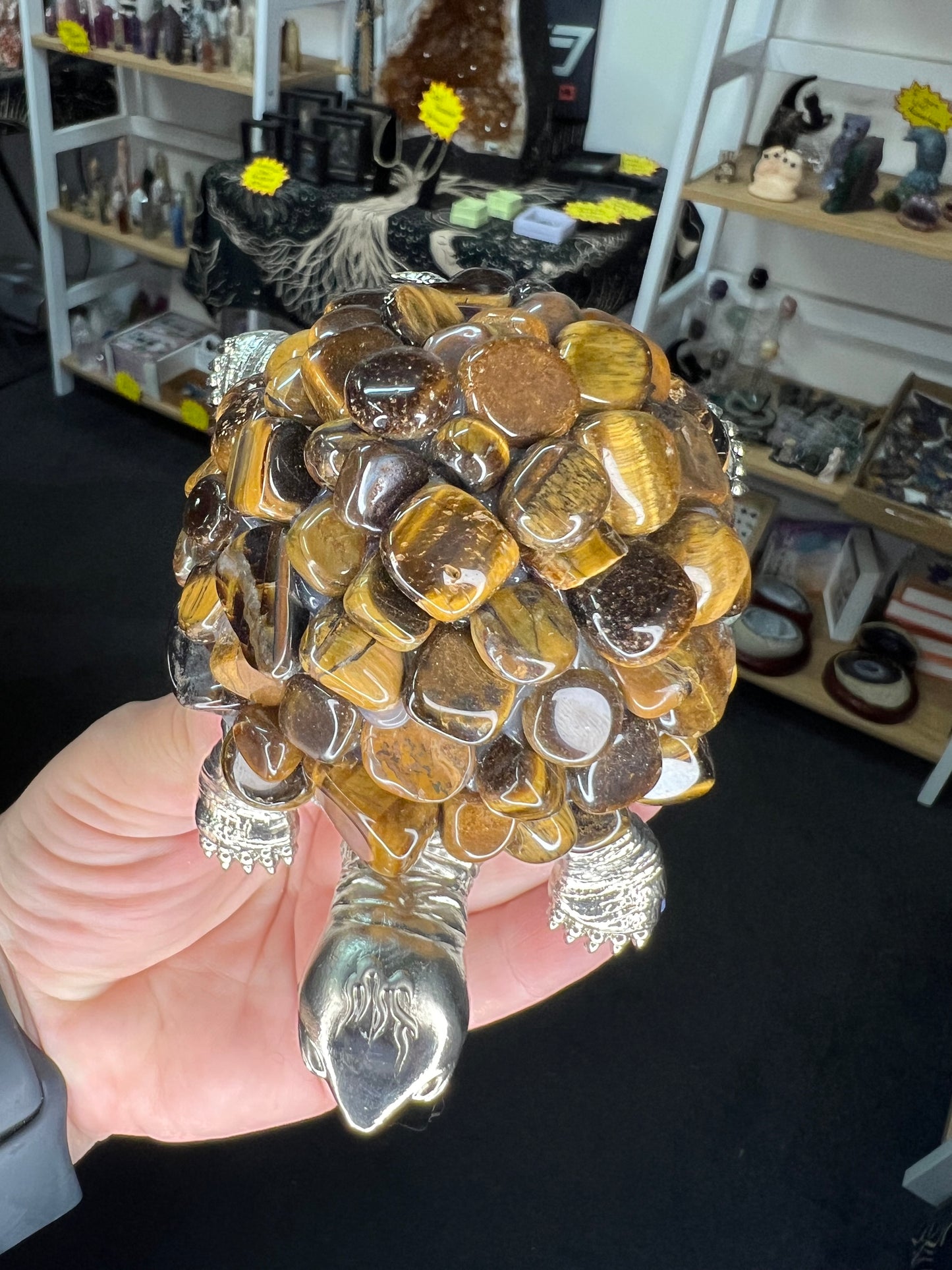 Tiger Eye Turtle