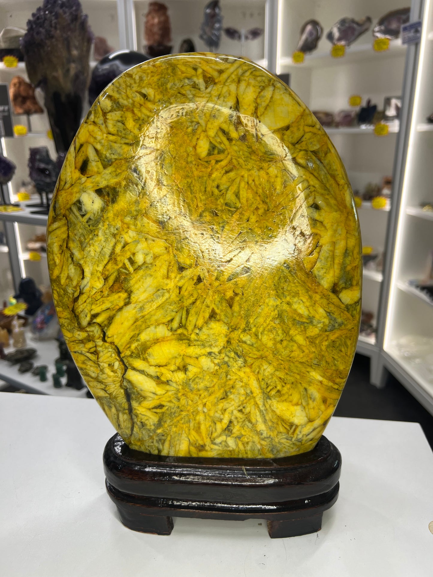 Huge Bamboo Leaf Jasper Freeform on Stand