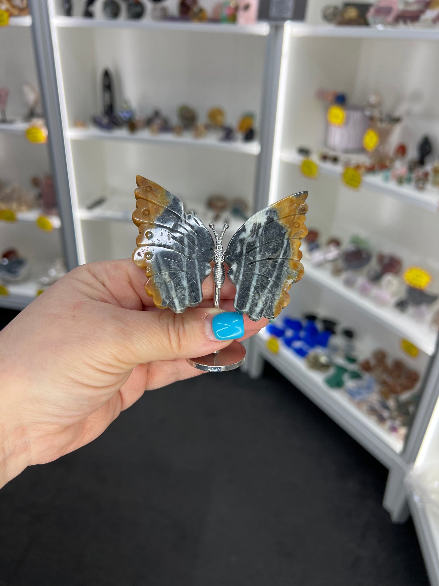Caribbean Calcite Butterfly