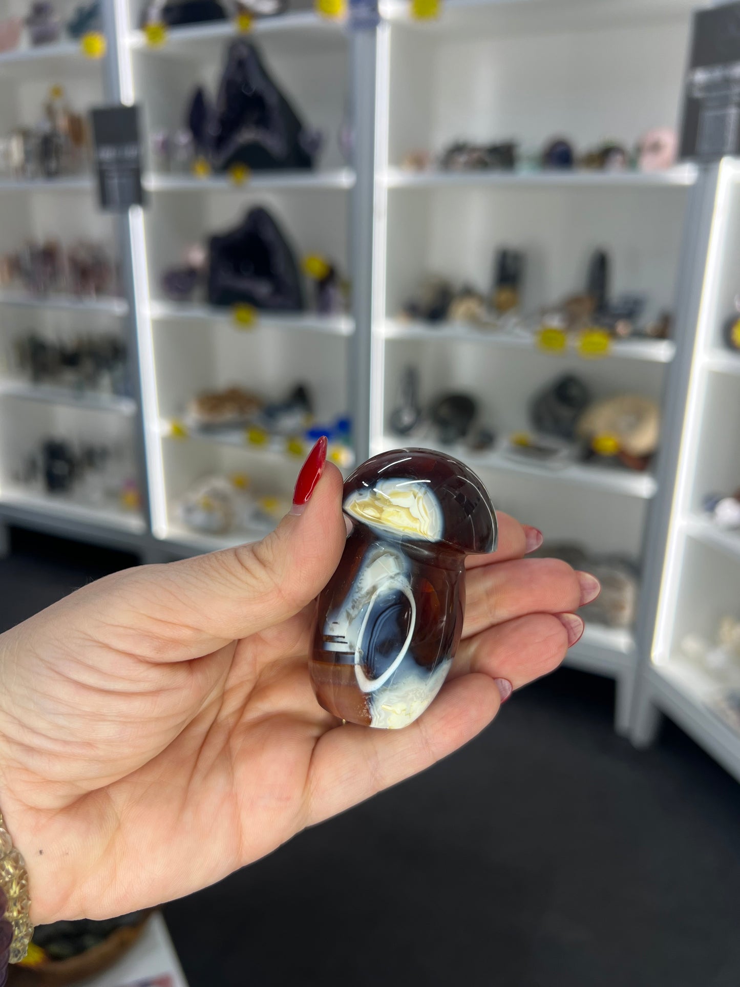 Carnelian Mushroom