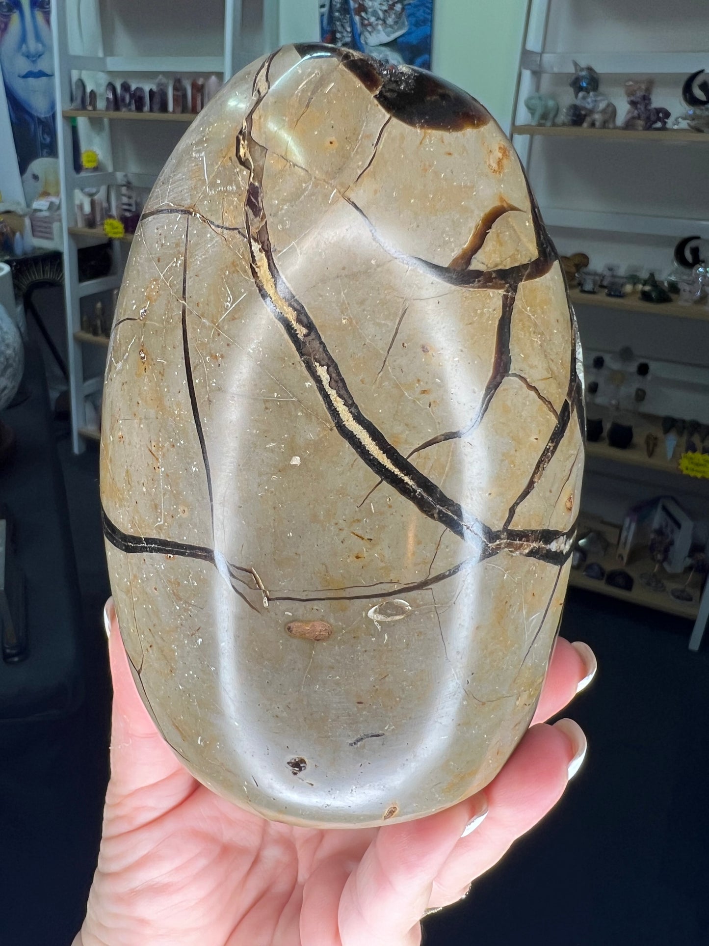 Septarian Freeform