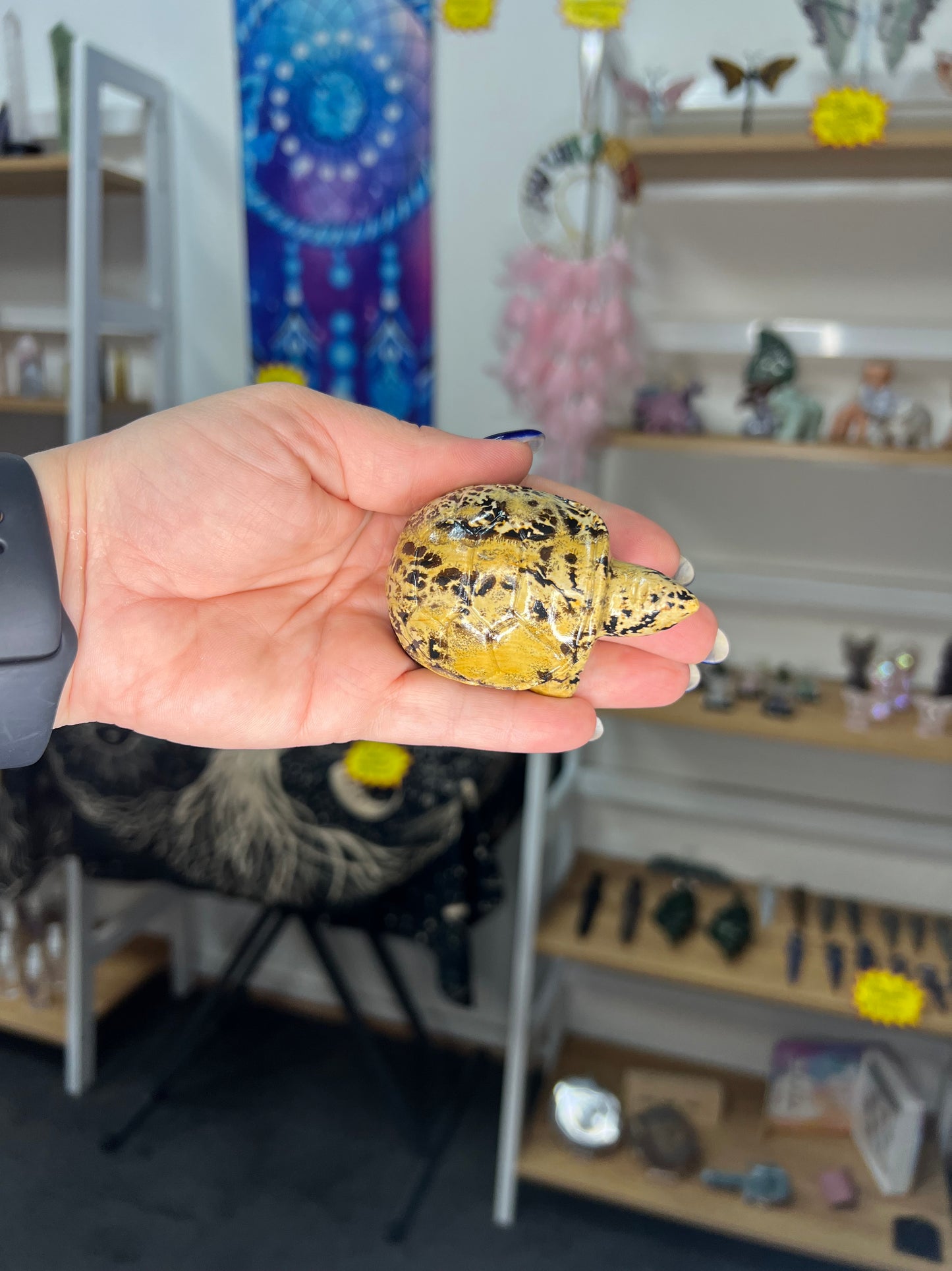 Picture Stone Jasper Turtle