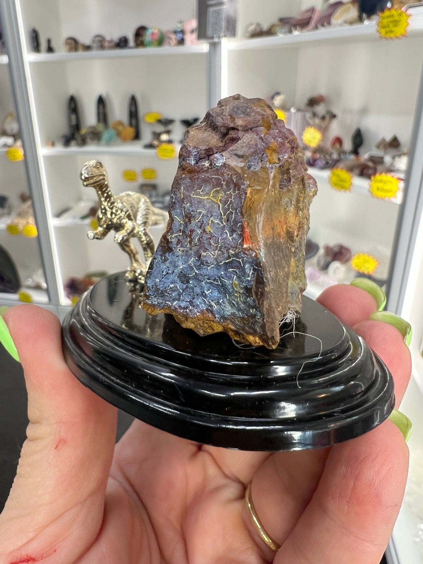 Boulder Opal with Dinosaur