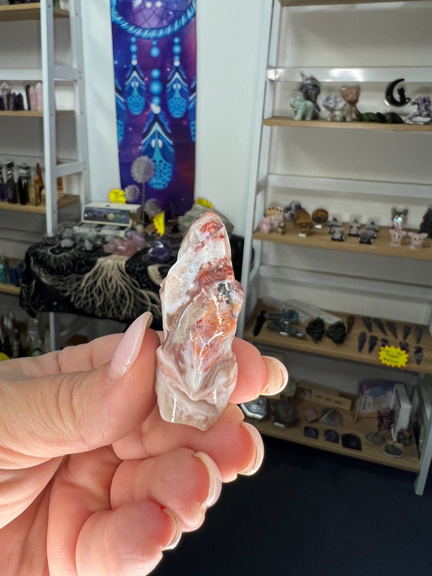 Mexican Lace Agate Dinosaur Head