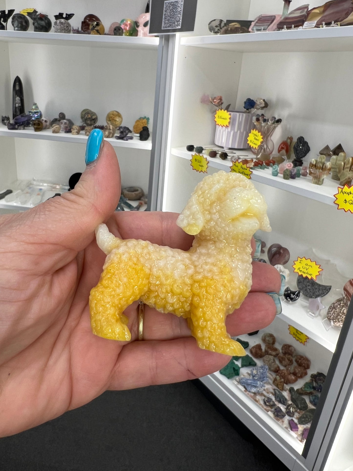 Luminous Dog (Glow in the Dark)