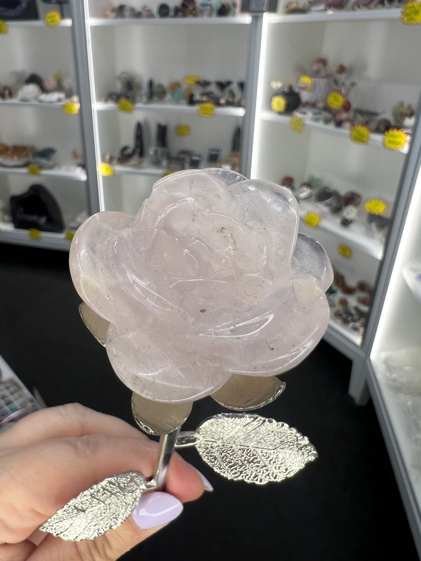 Rose Quartz Forever Rose