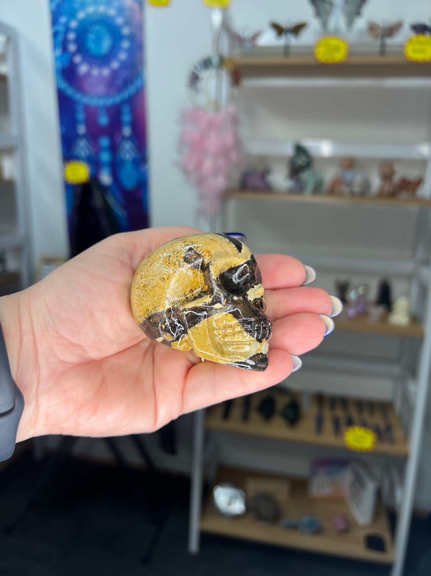 Picture Stone Jasper Skull