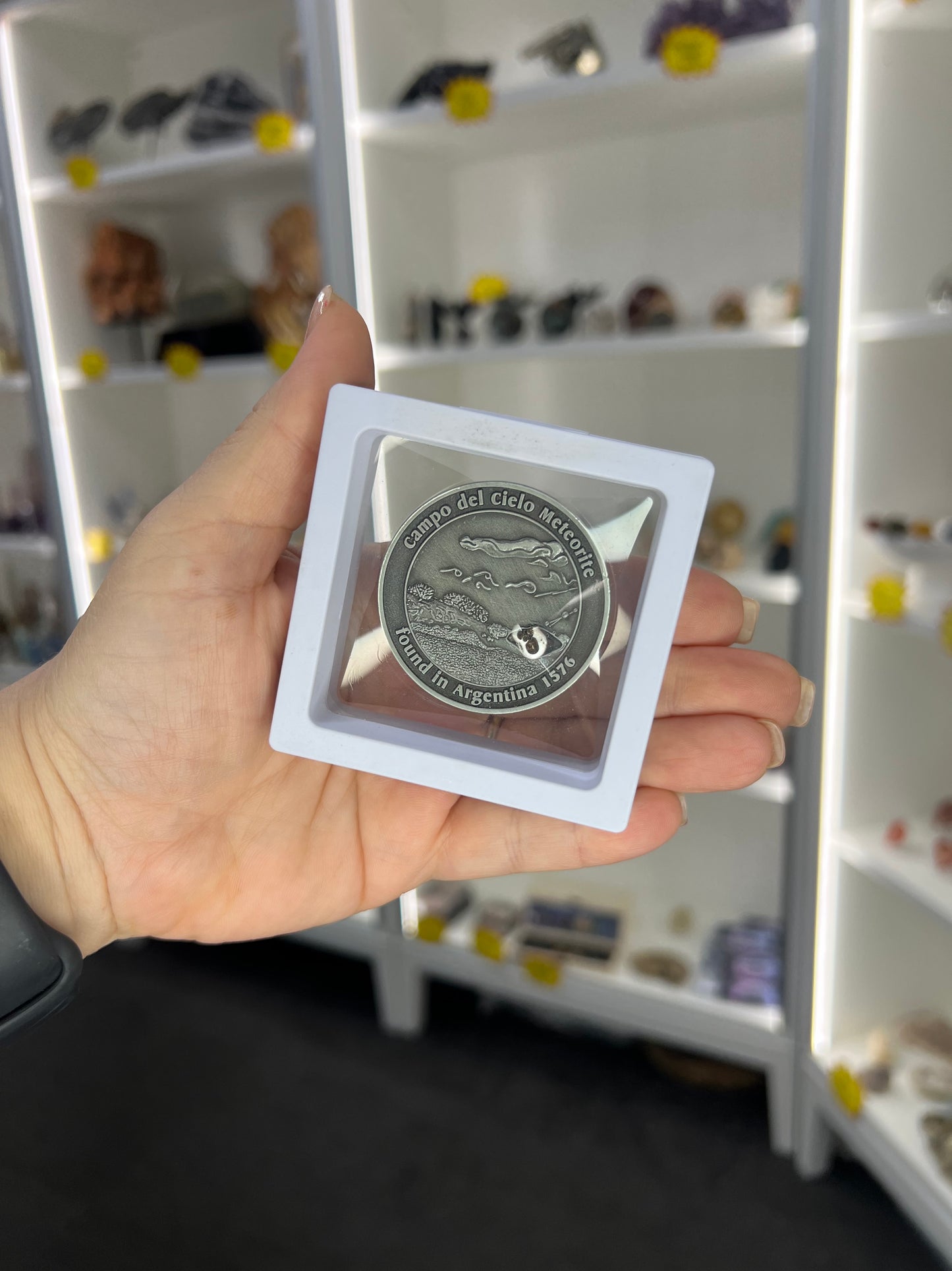 Campo Del Cielo Meteorite Coin