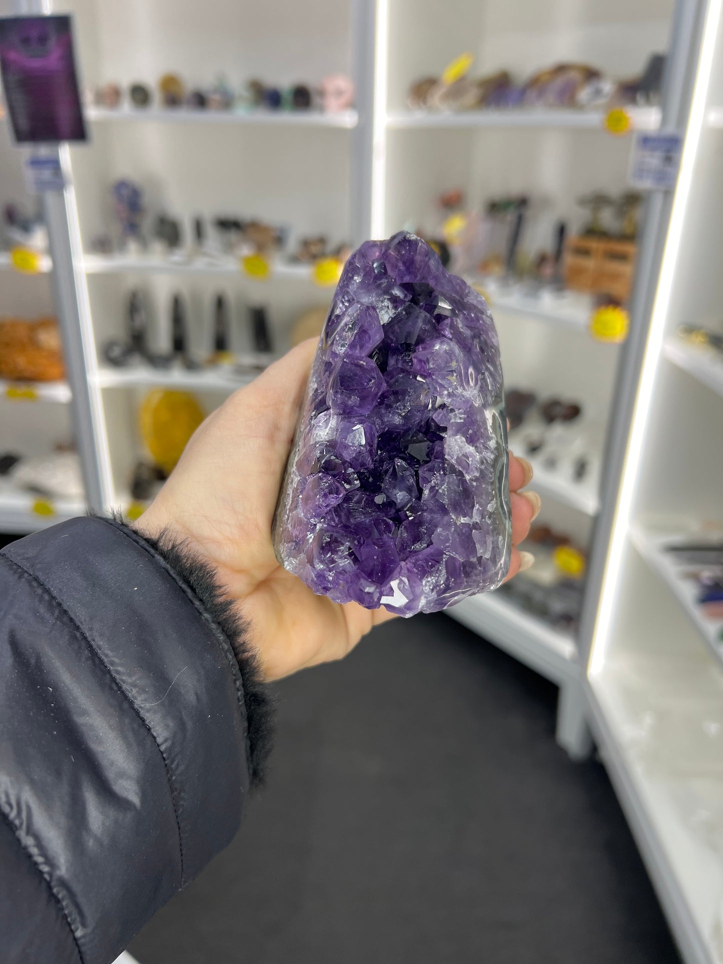 Amethyst Cluster Specimen
