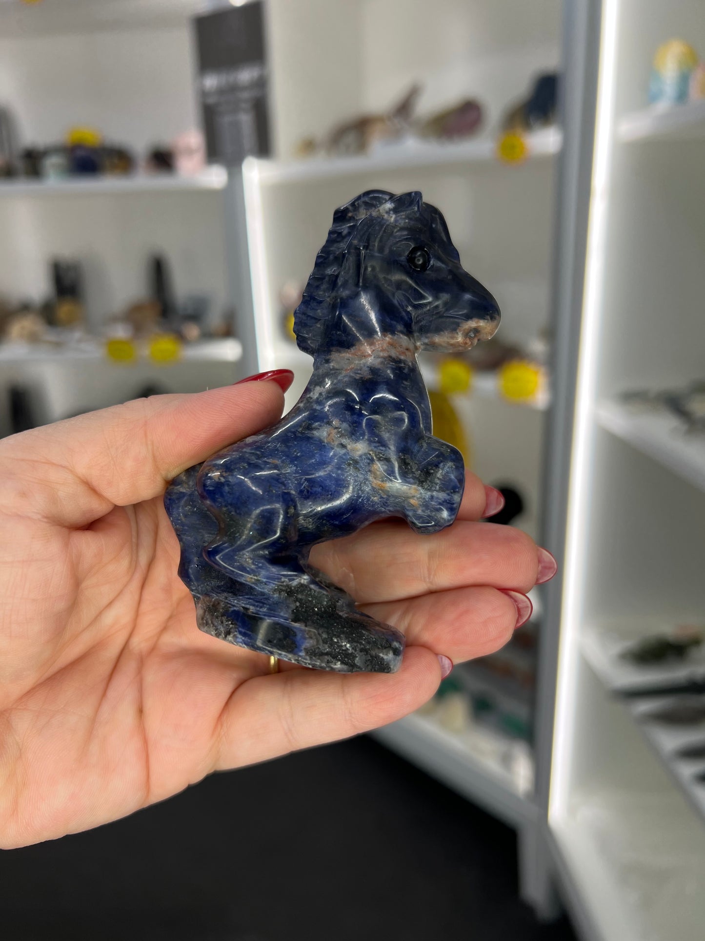 Sodalite Horse