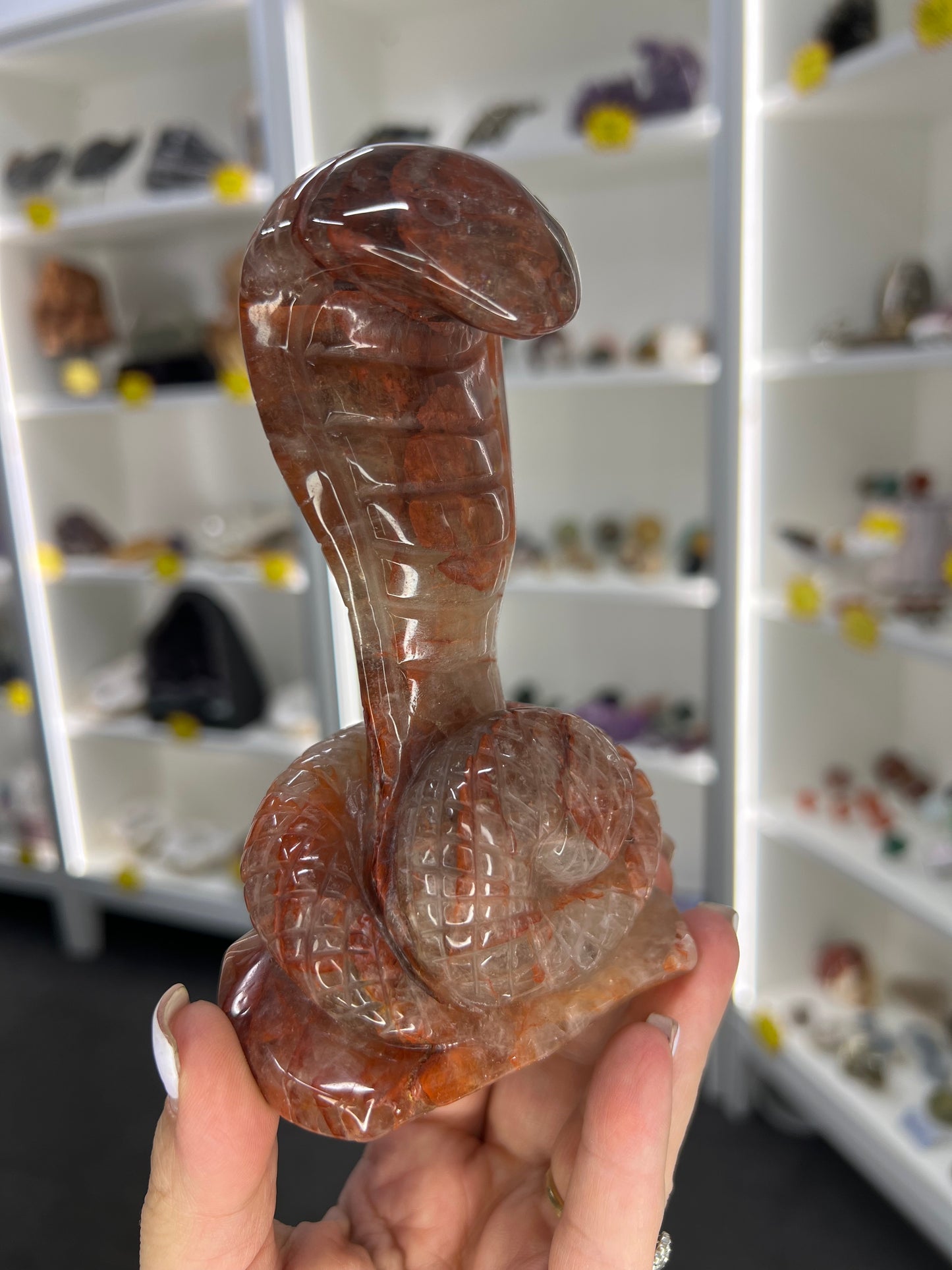 Fire Quartz Cobra / Snake
