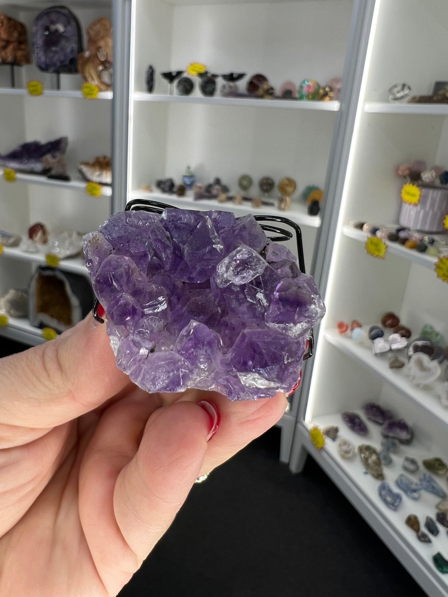 Amethyst Cluster Little Guy