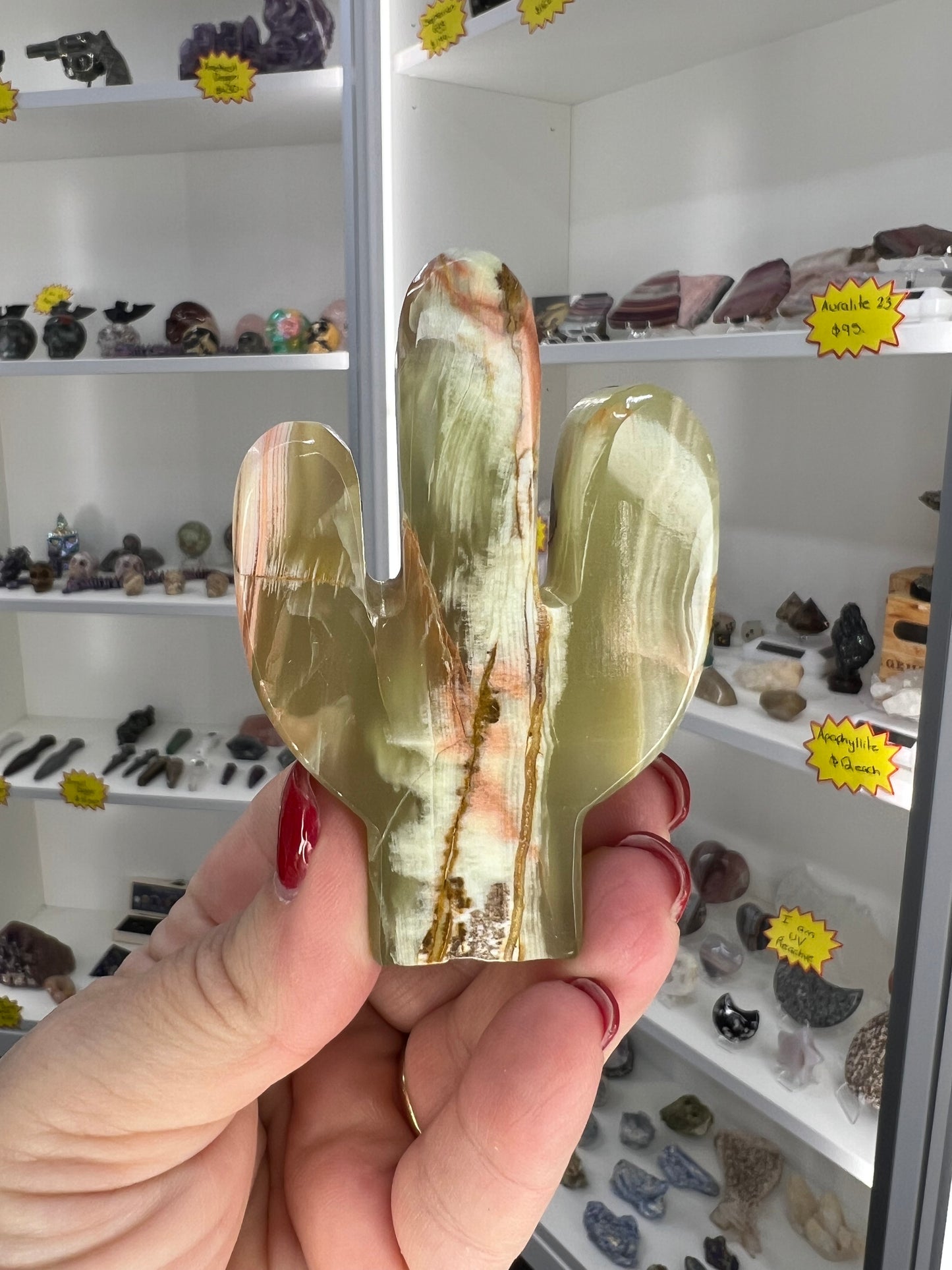 Onyx Cactus