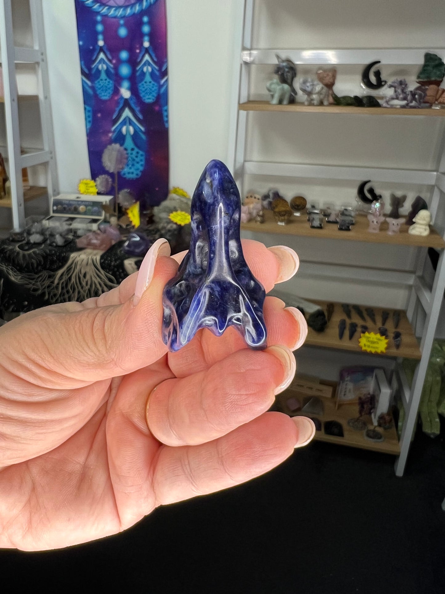 Sodalite Dinosaur Skull