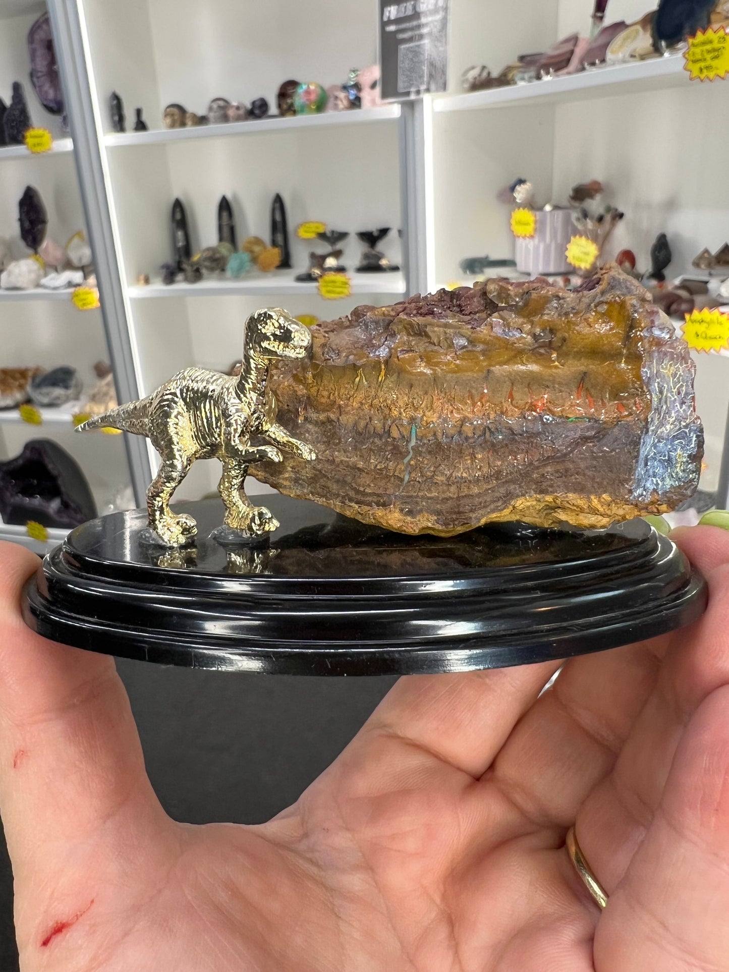 Boulder Opal with Dinosaur
