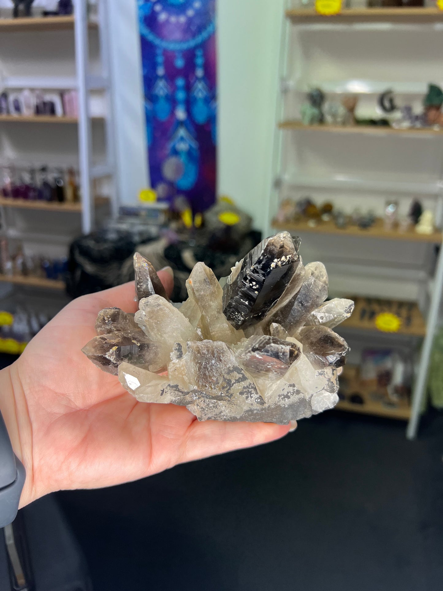 Smoky Quartz Cluster