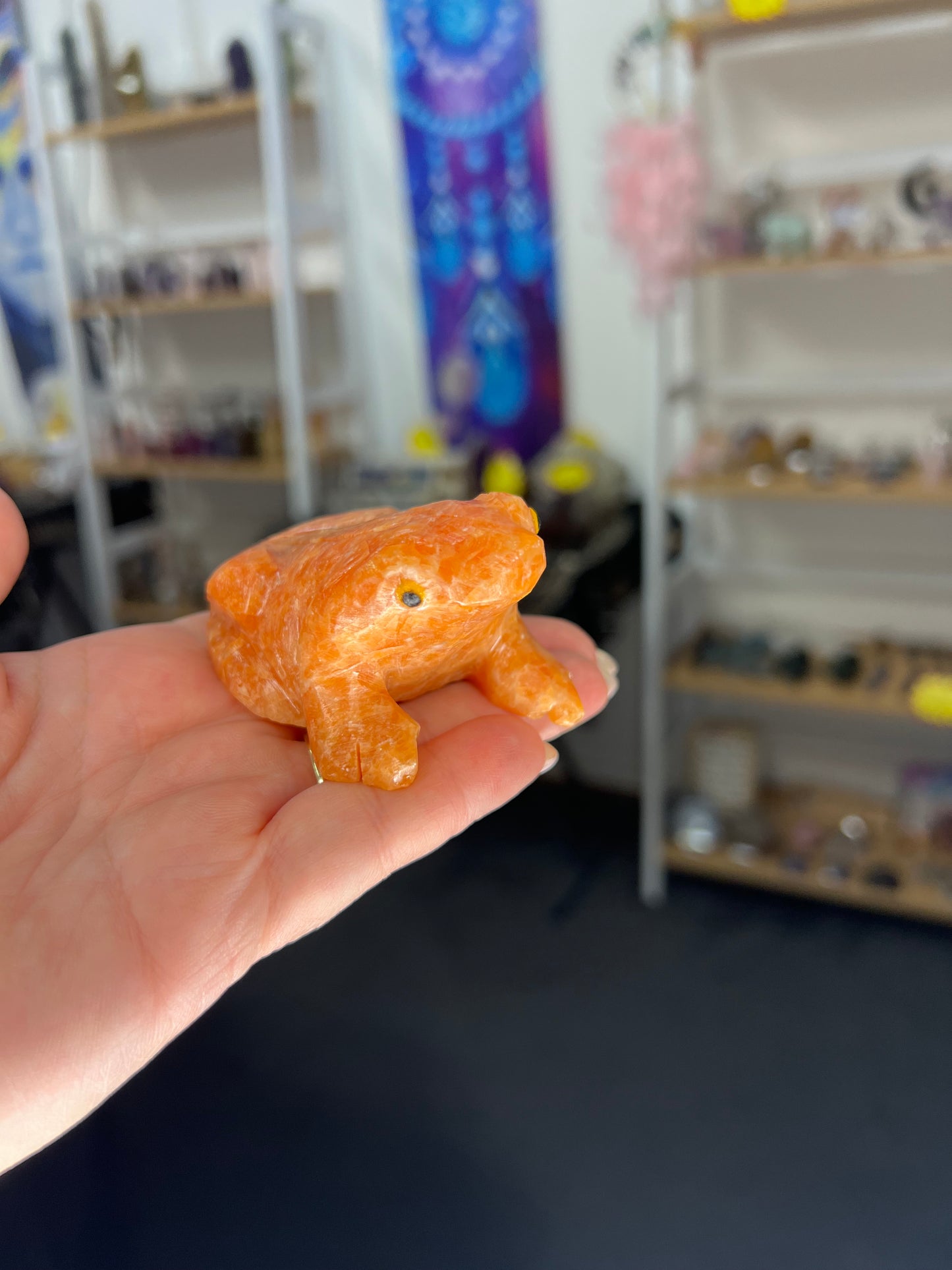 Sunstone Frog