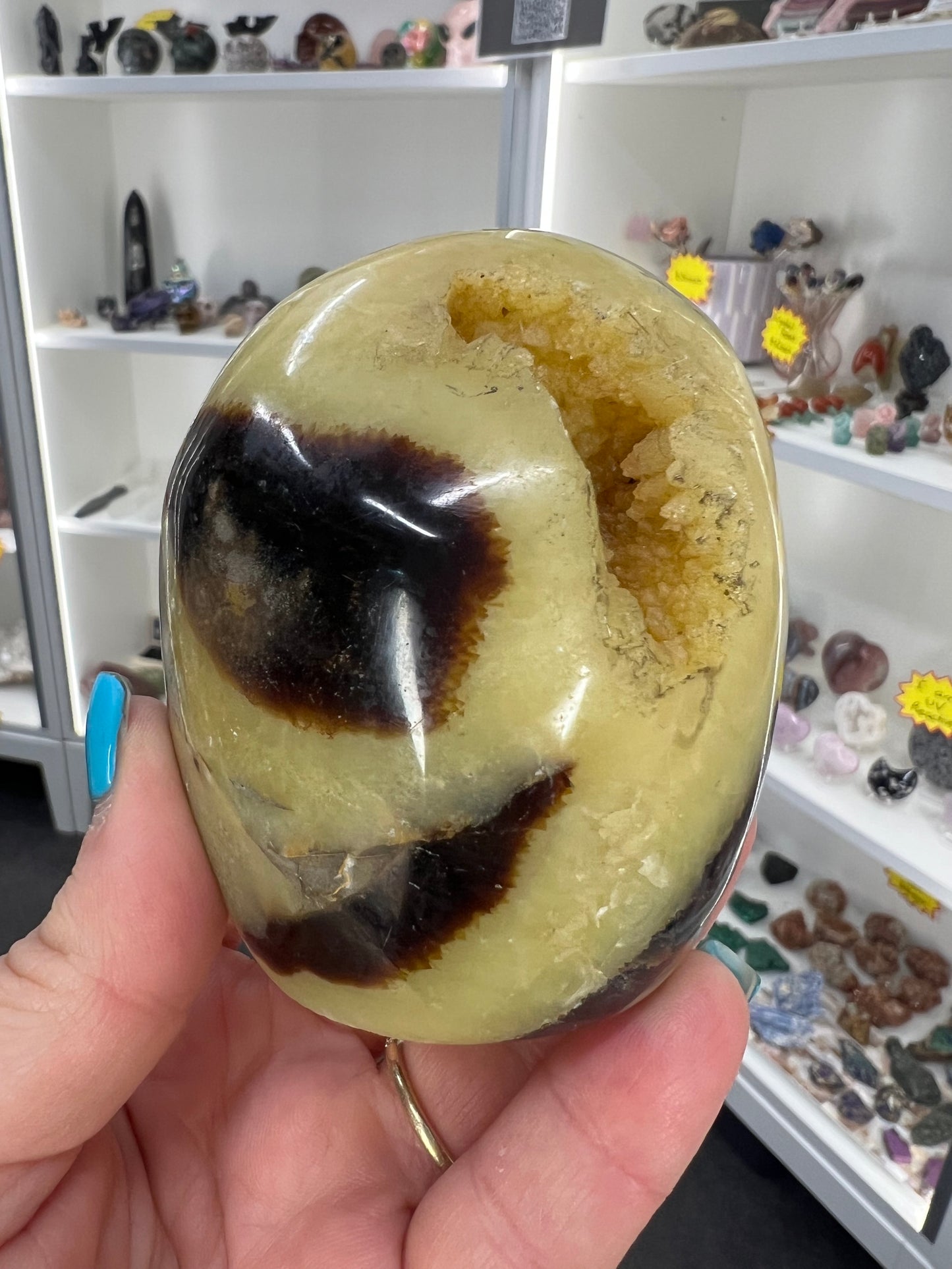 Septarian Freeform
