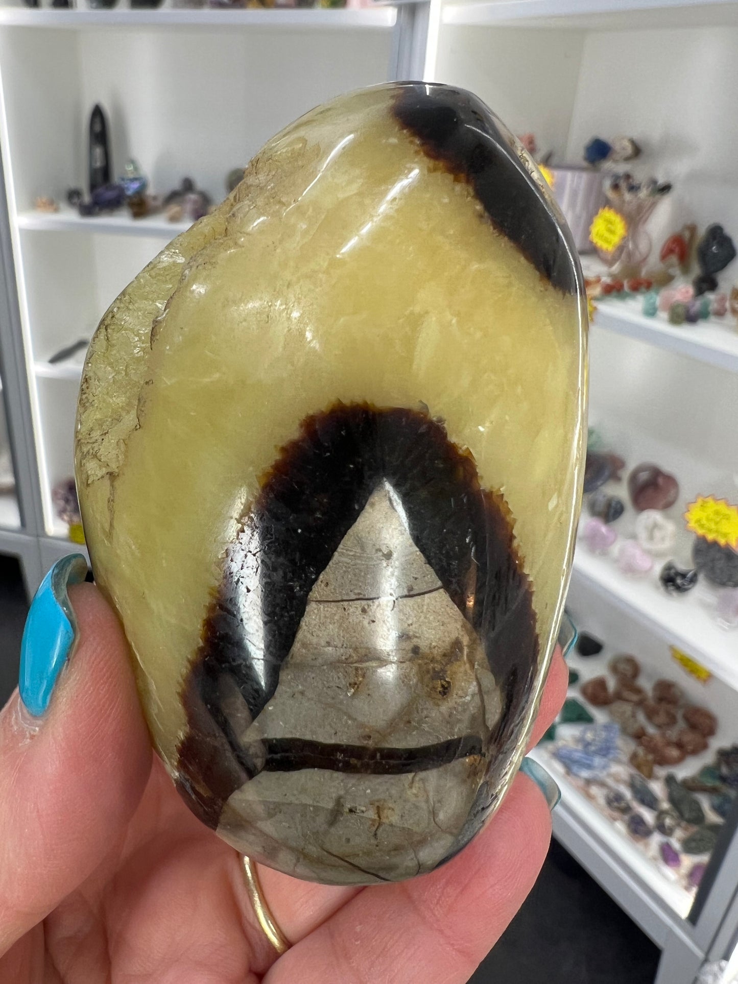 Septarian Freeform