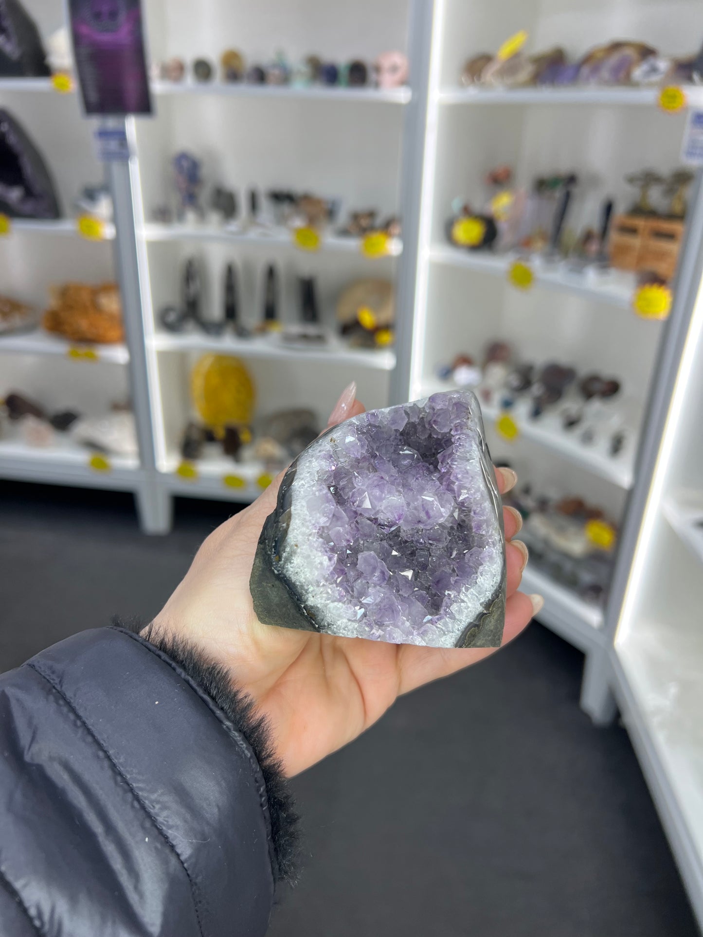 Amethyst Cluster Specimen