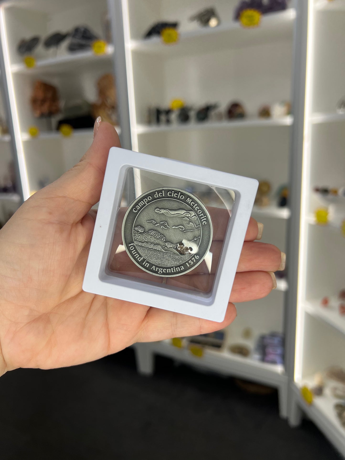 Campo Del Cielo Meteorite Coin
