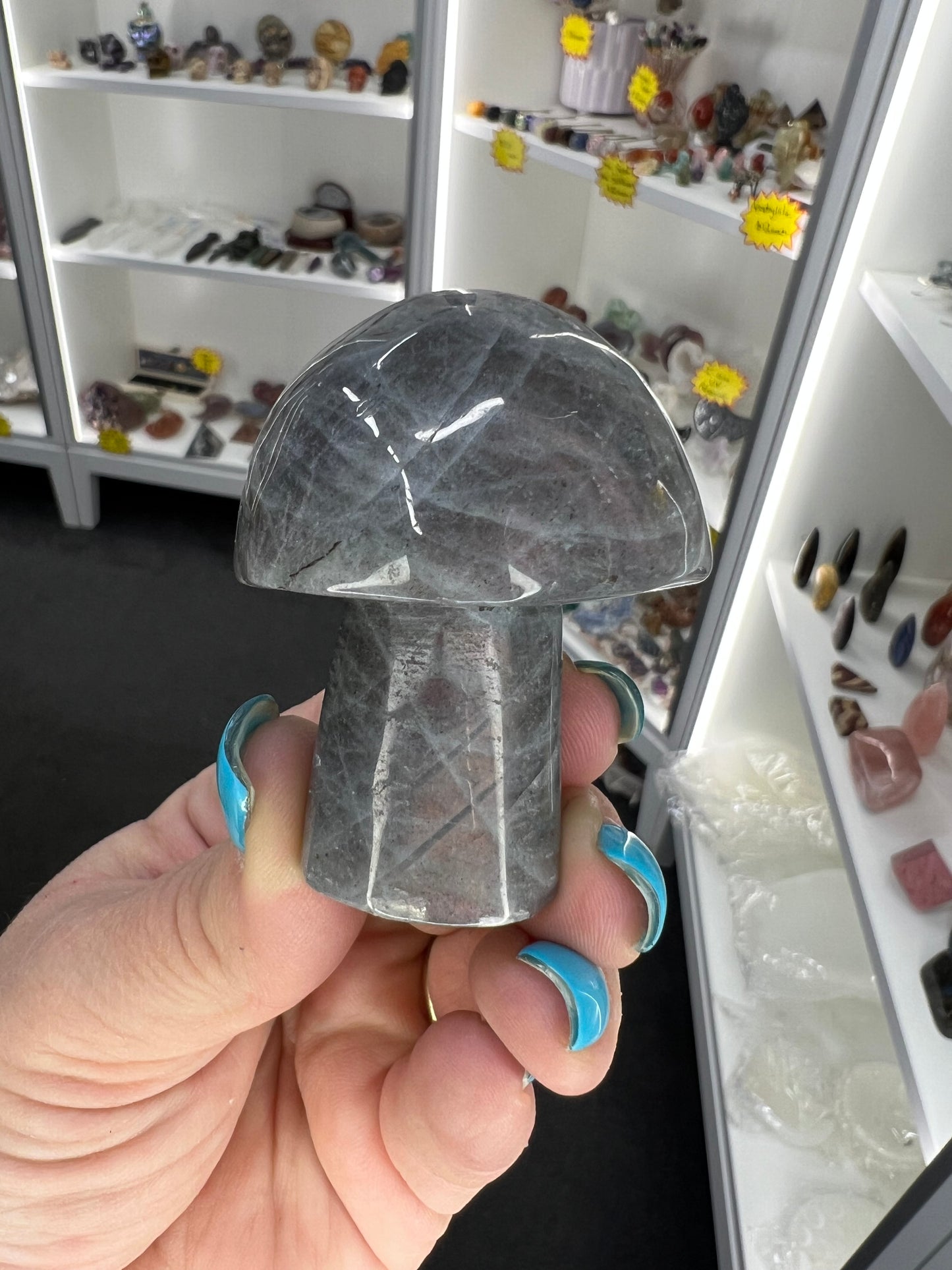 Labradorite Mushroom