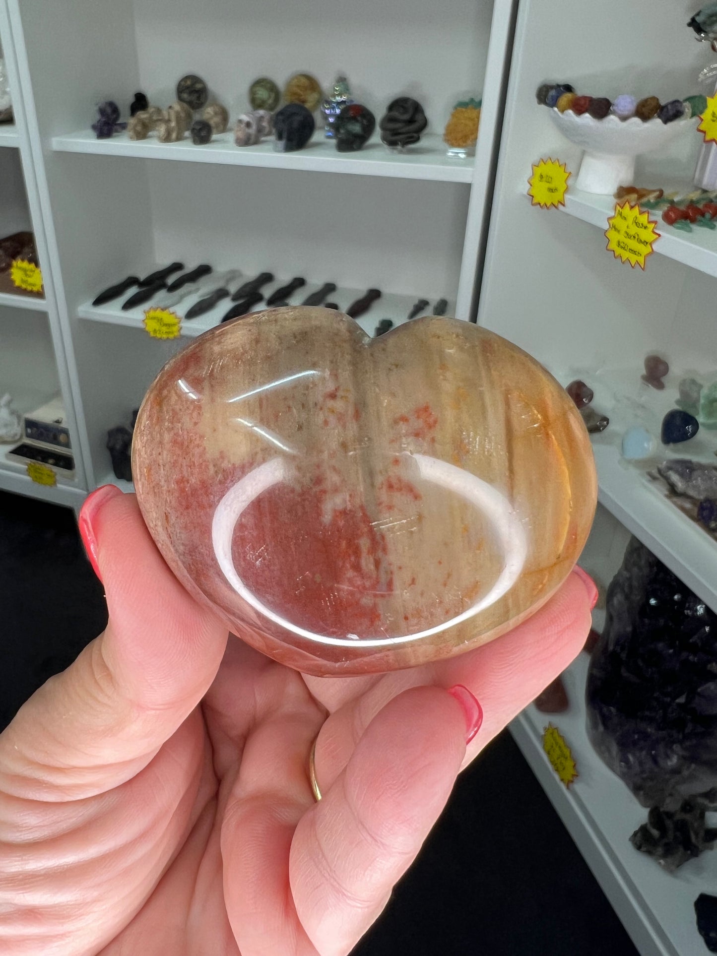 Petrified Wood Heart