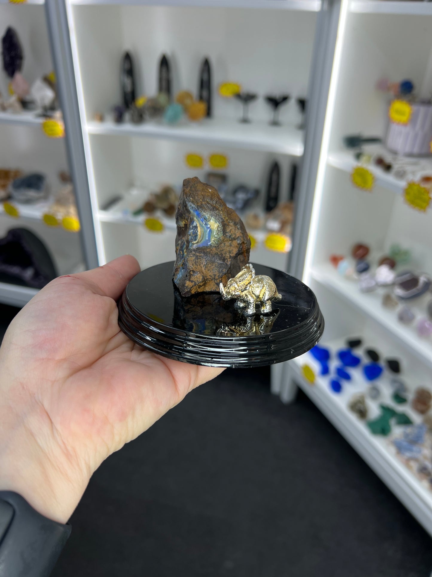Boulder Opal with Dinosaur