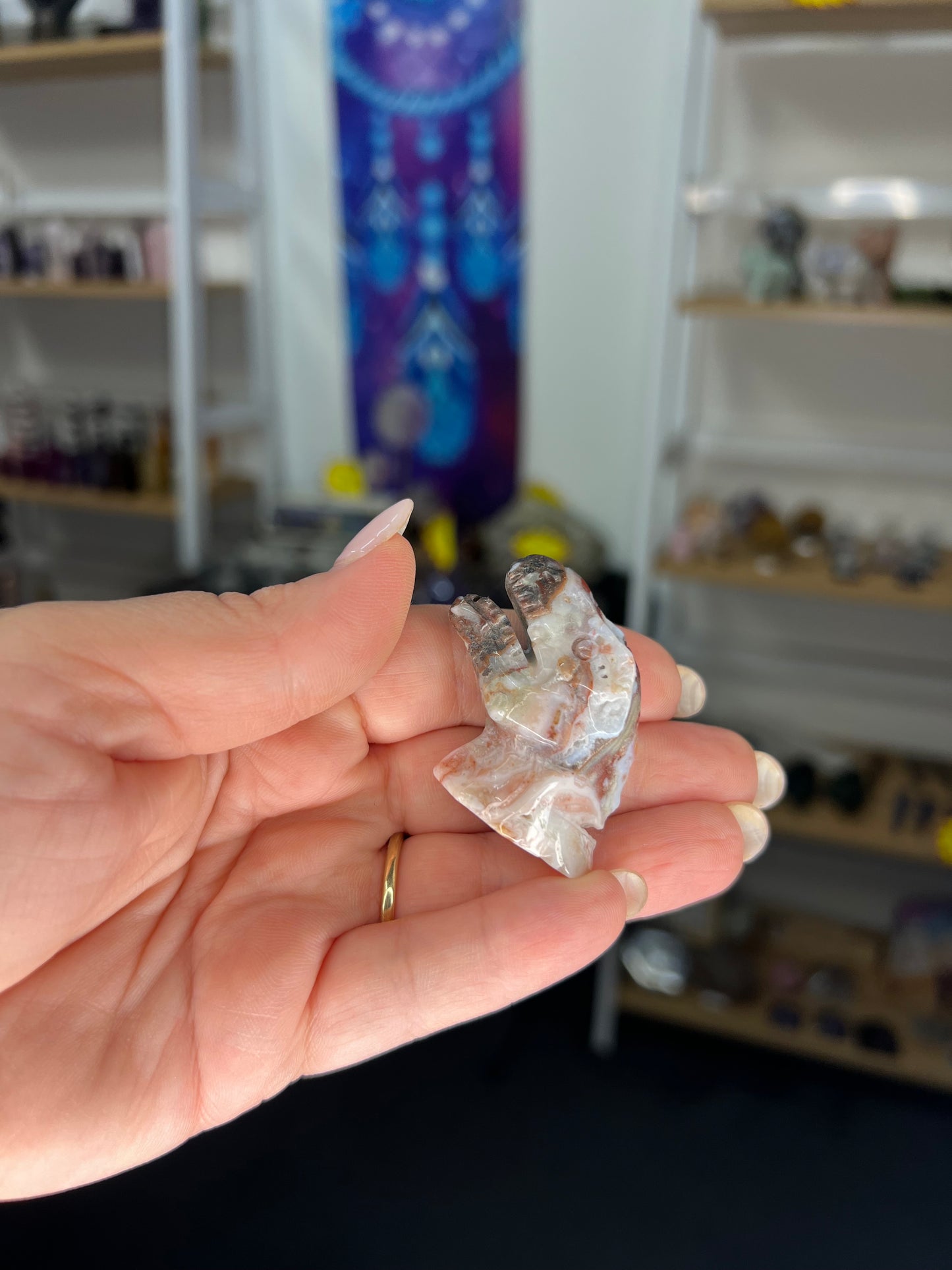 Mexican Lace Agate Dinosaur Head
