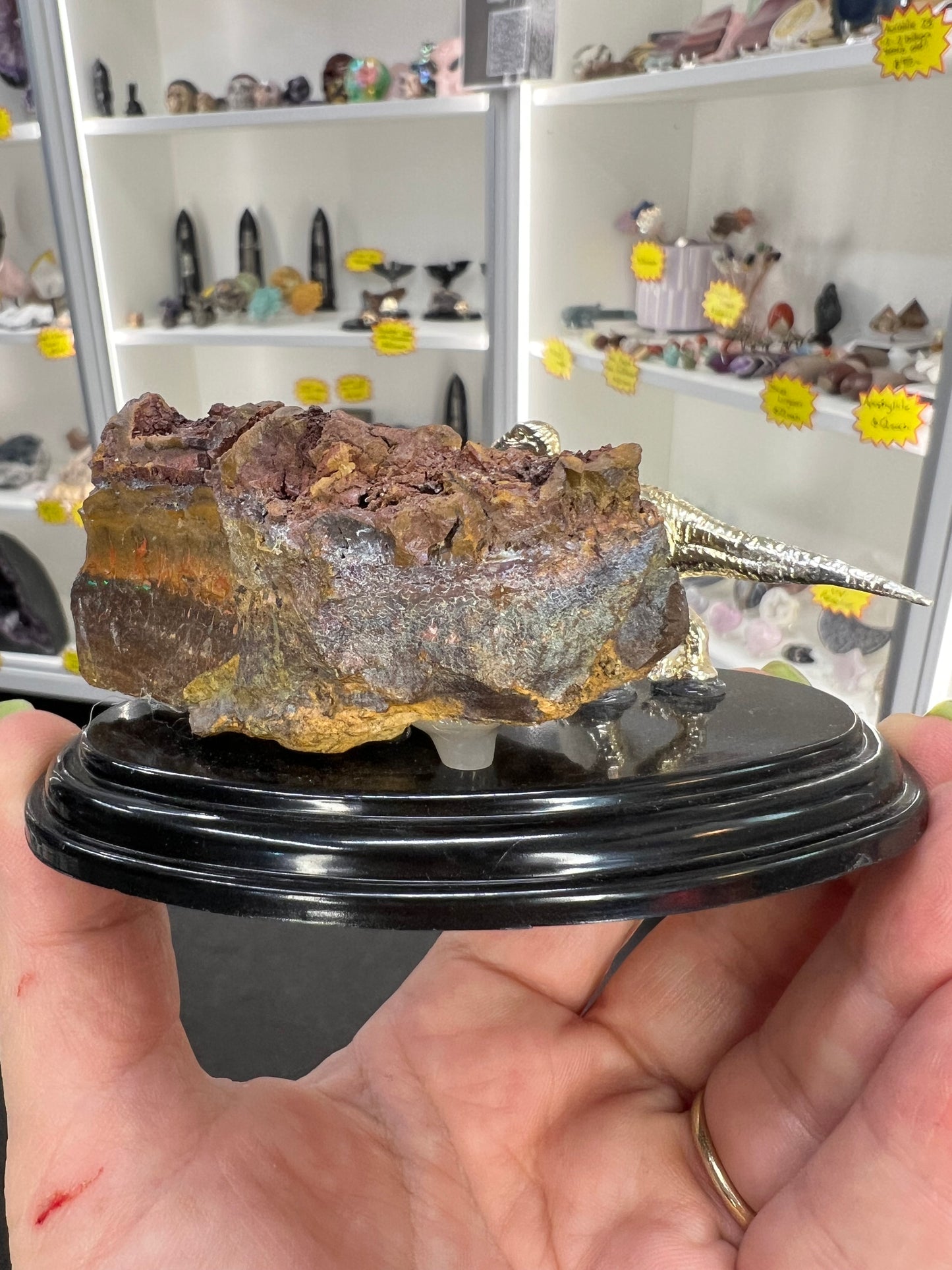 Boulder Opal with Dinosaur