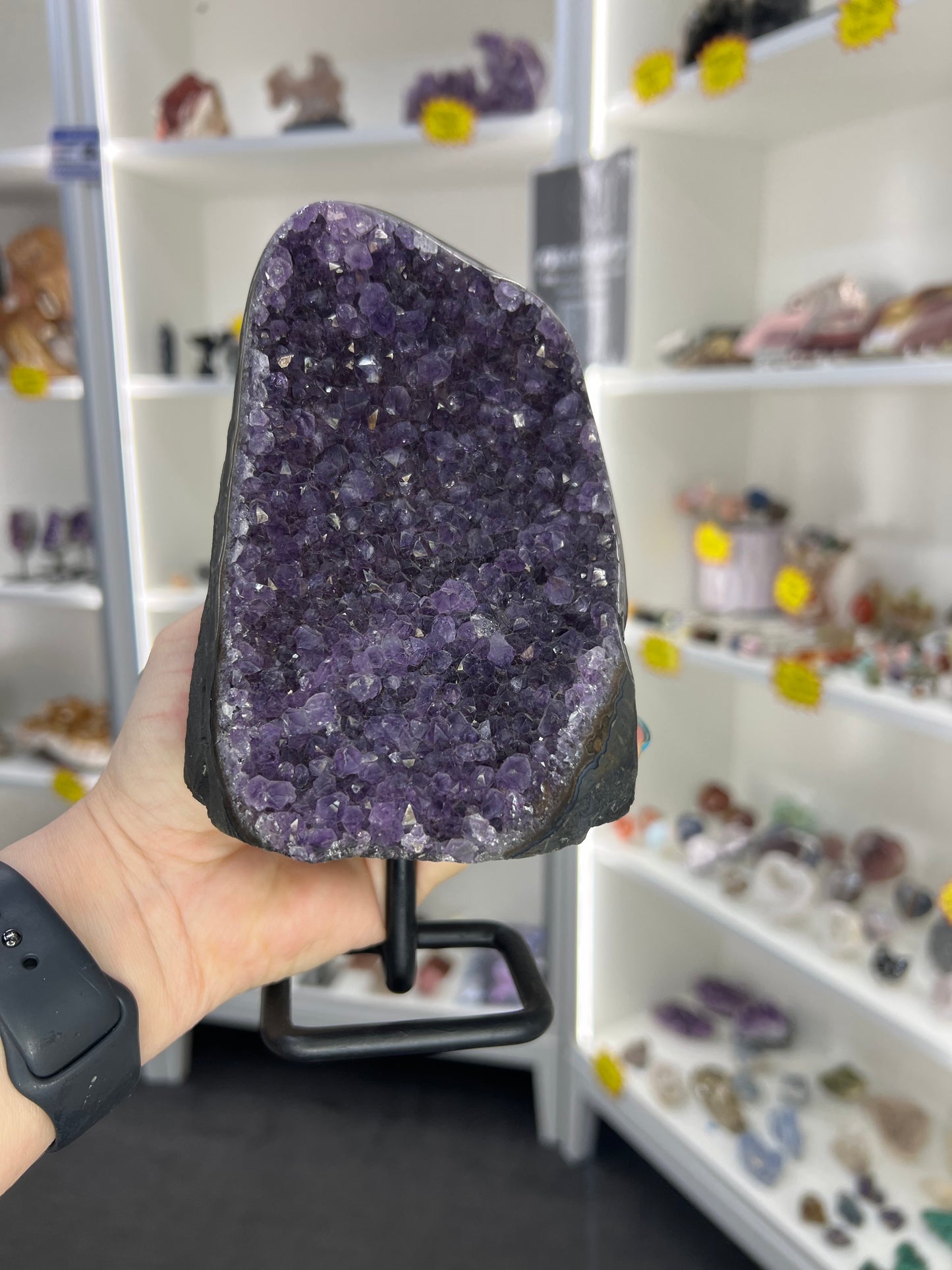 Amethyst Cluster on Stand