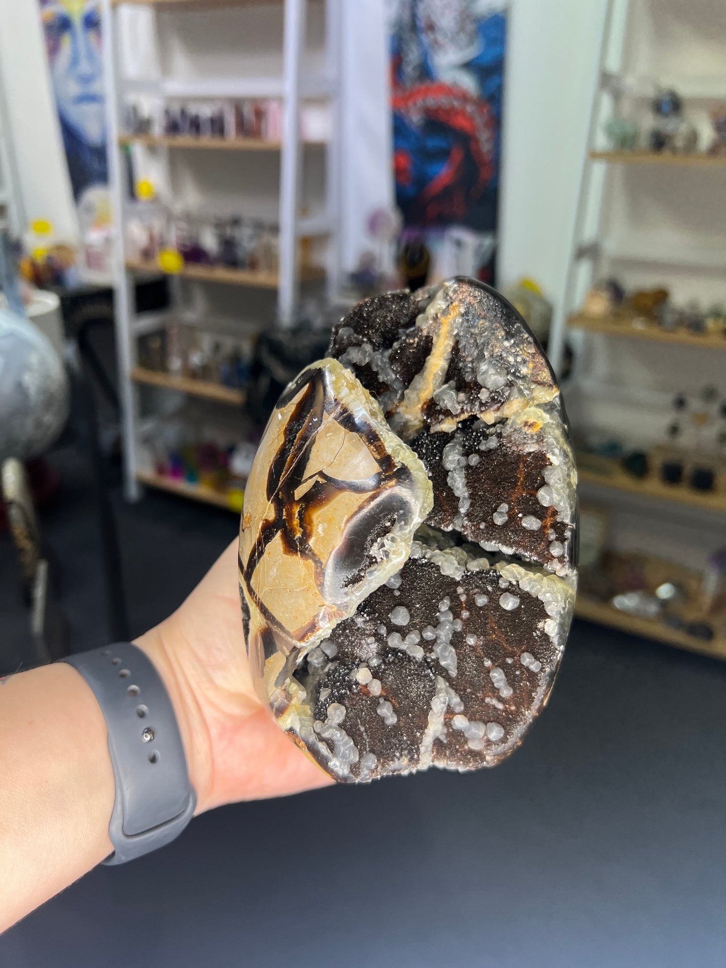 Septarian Freeform