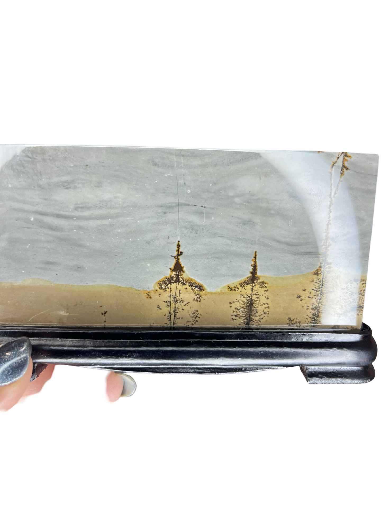 Picture Jasper Slab on Stand