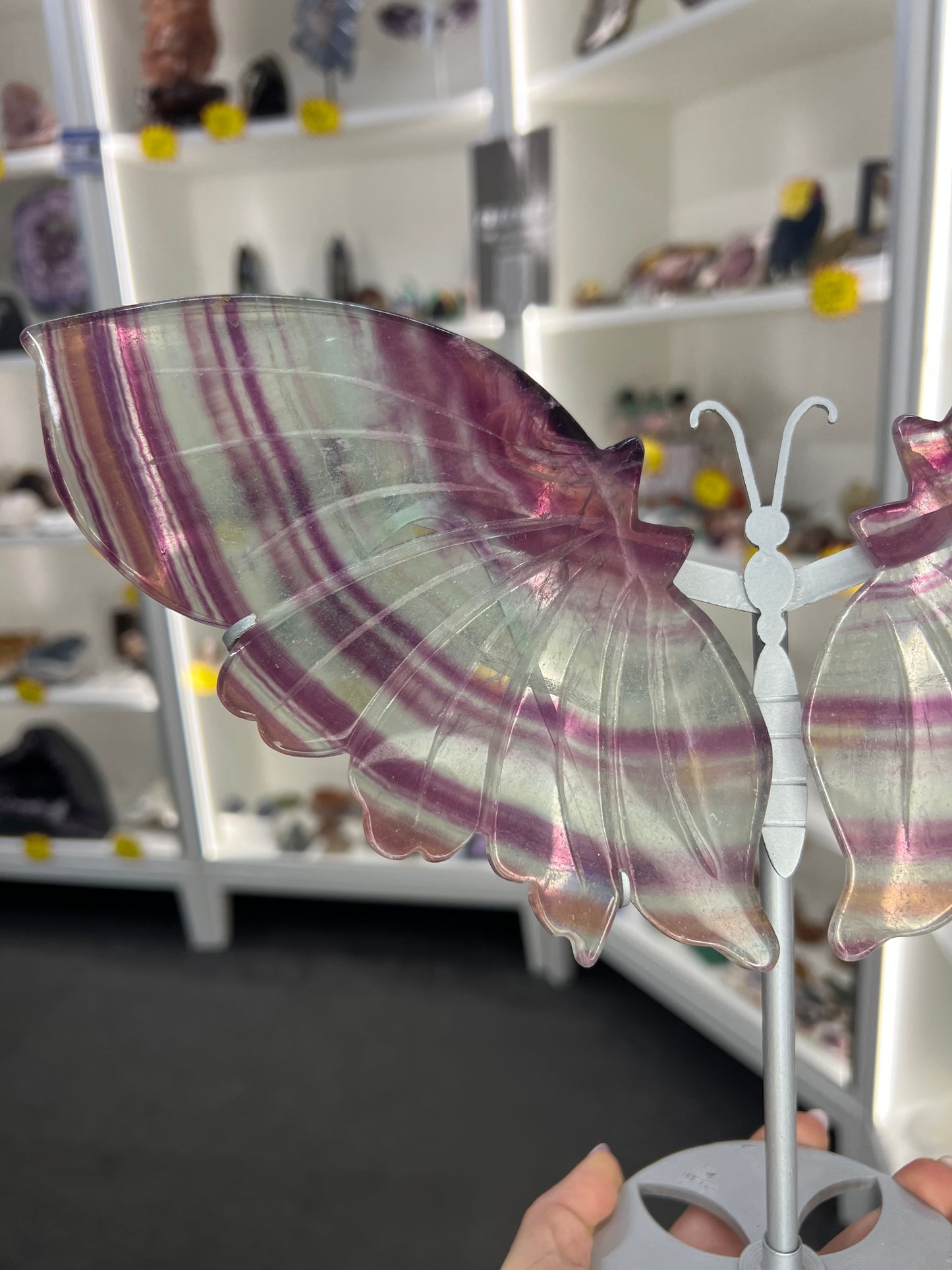 Fluorite Butterfly