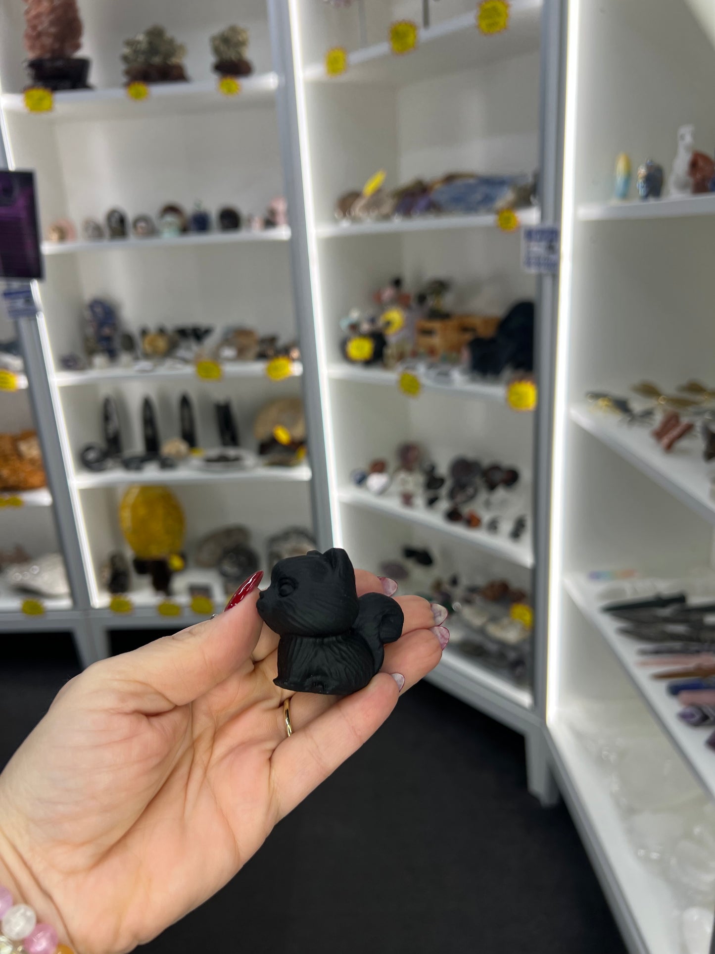 Black Obsidian Cat
