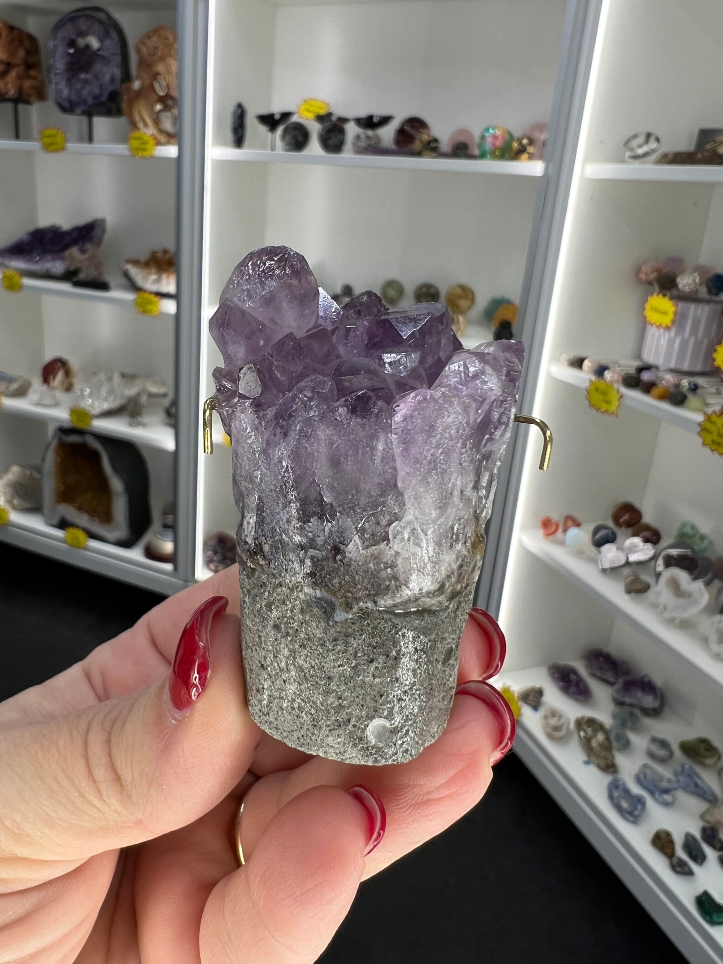Amethyst Cluster Little Guy