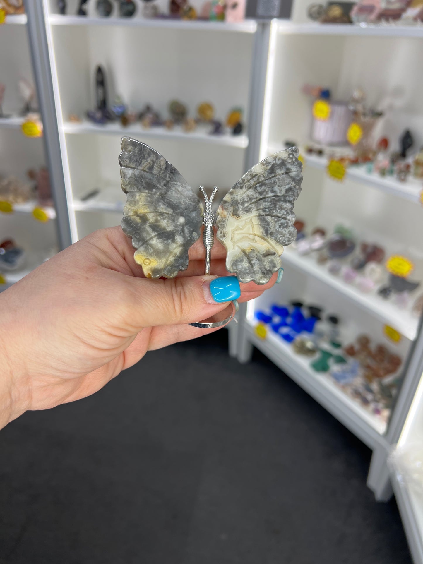 Crazy Lace Agate Butterfly