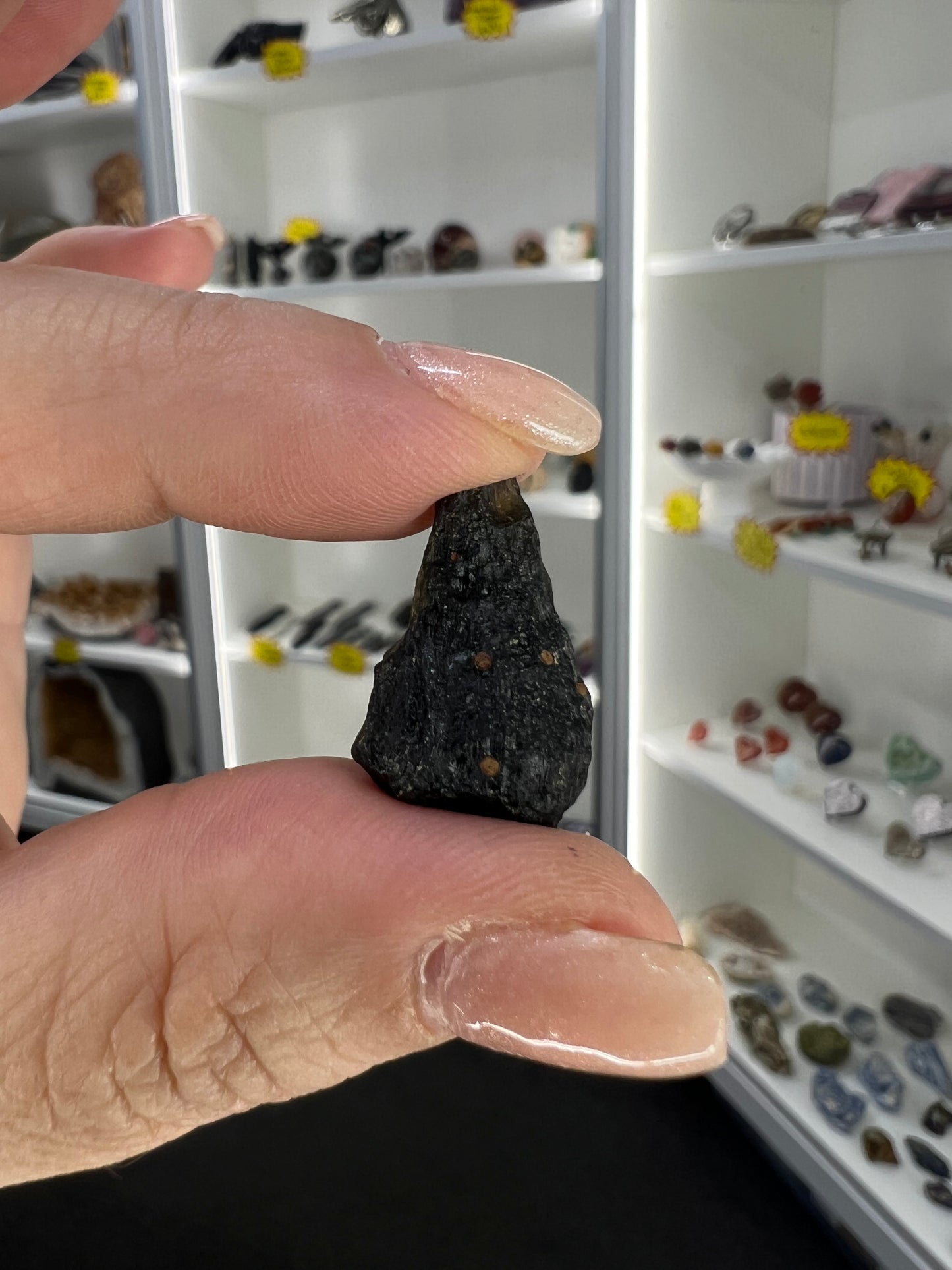 Tektite