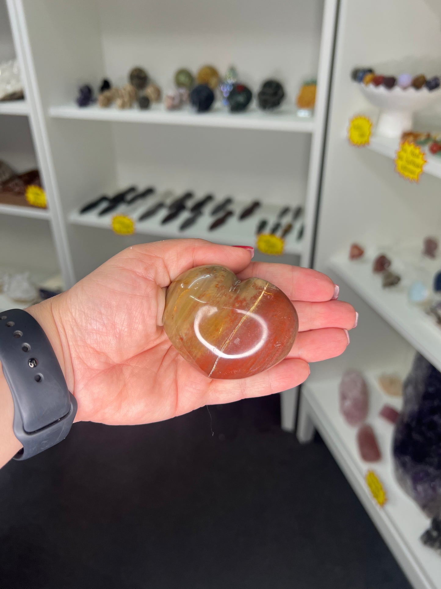 Petrified Wood Heart