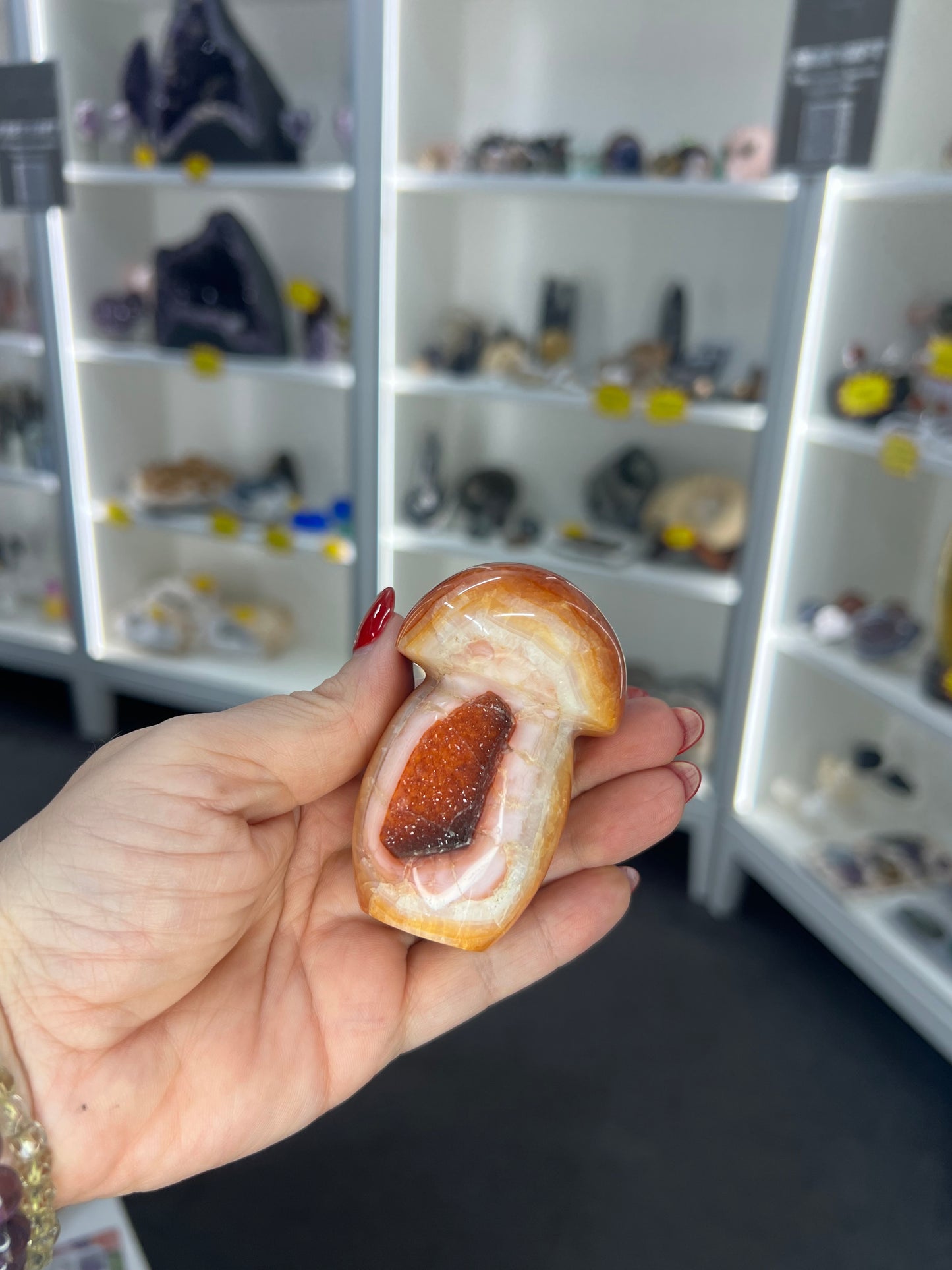 Carnelian Mushroom